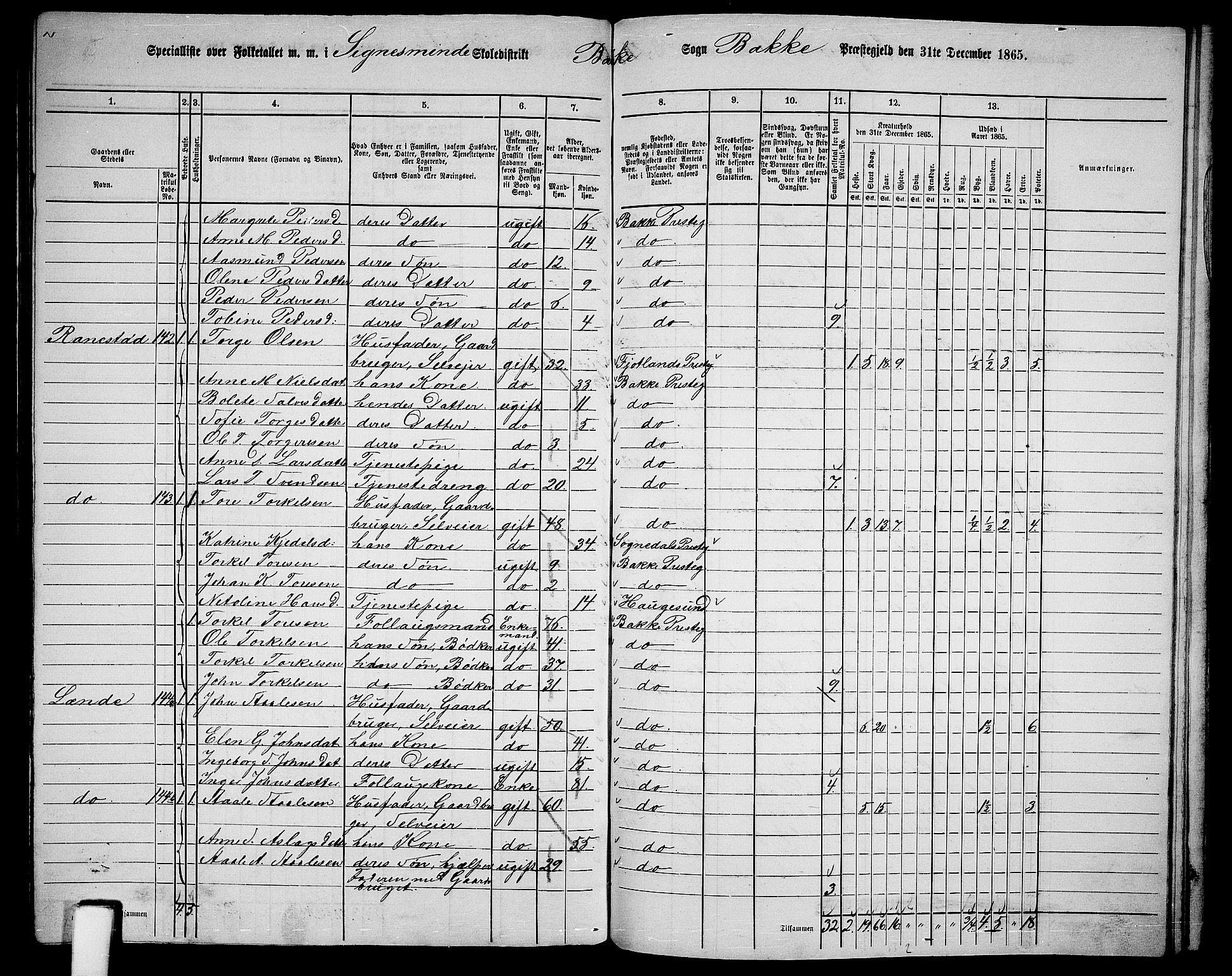 RA, 1865 census for Bakke, 1865, p. 93