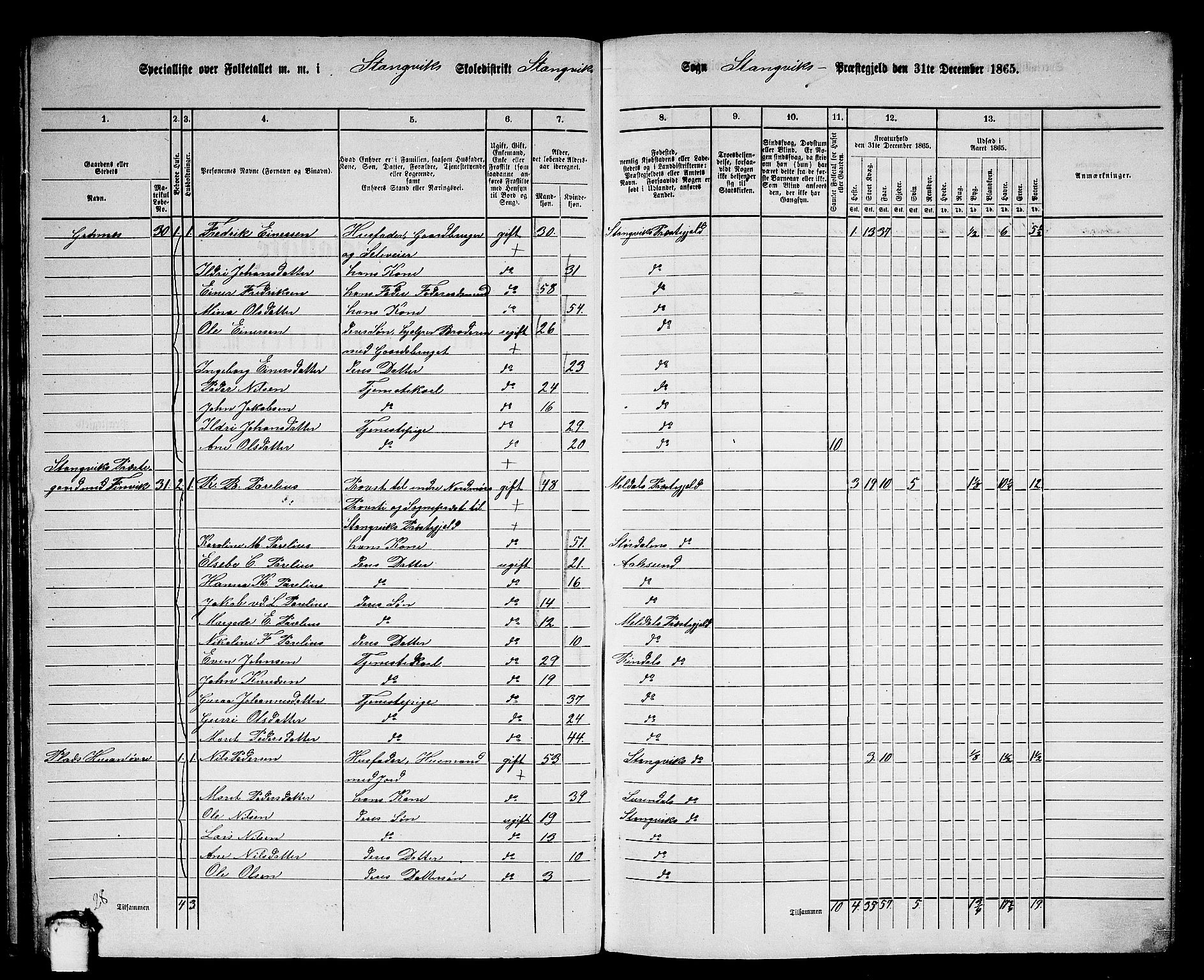 RA, 1865 census for Stangvik, 1865, p. 33