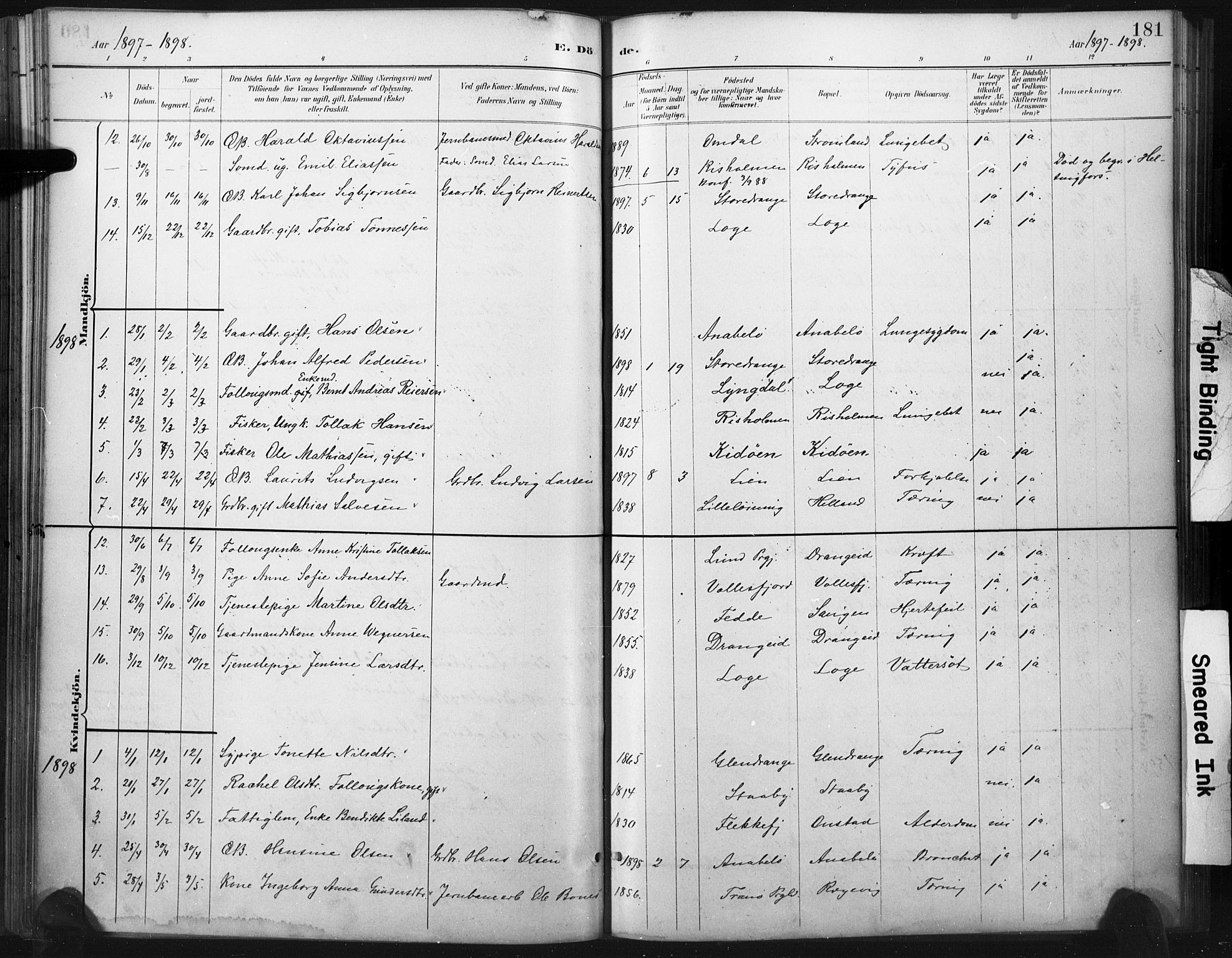 Flekkefjord sokneprestkontor, AV/SAK-1111-0012/F/Fa/Fac/L0008: Parish register (official) no. A 8, 1885-1898, p. 181