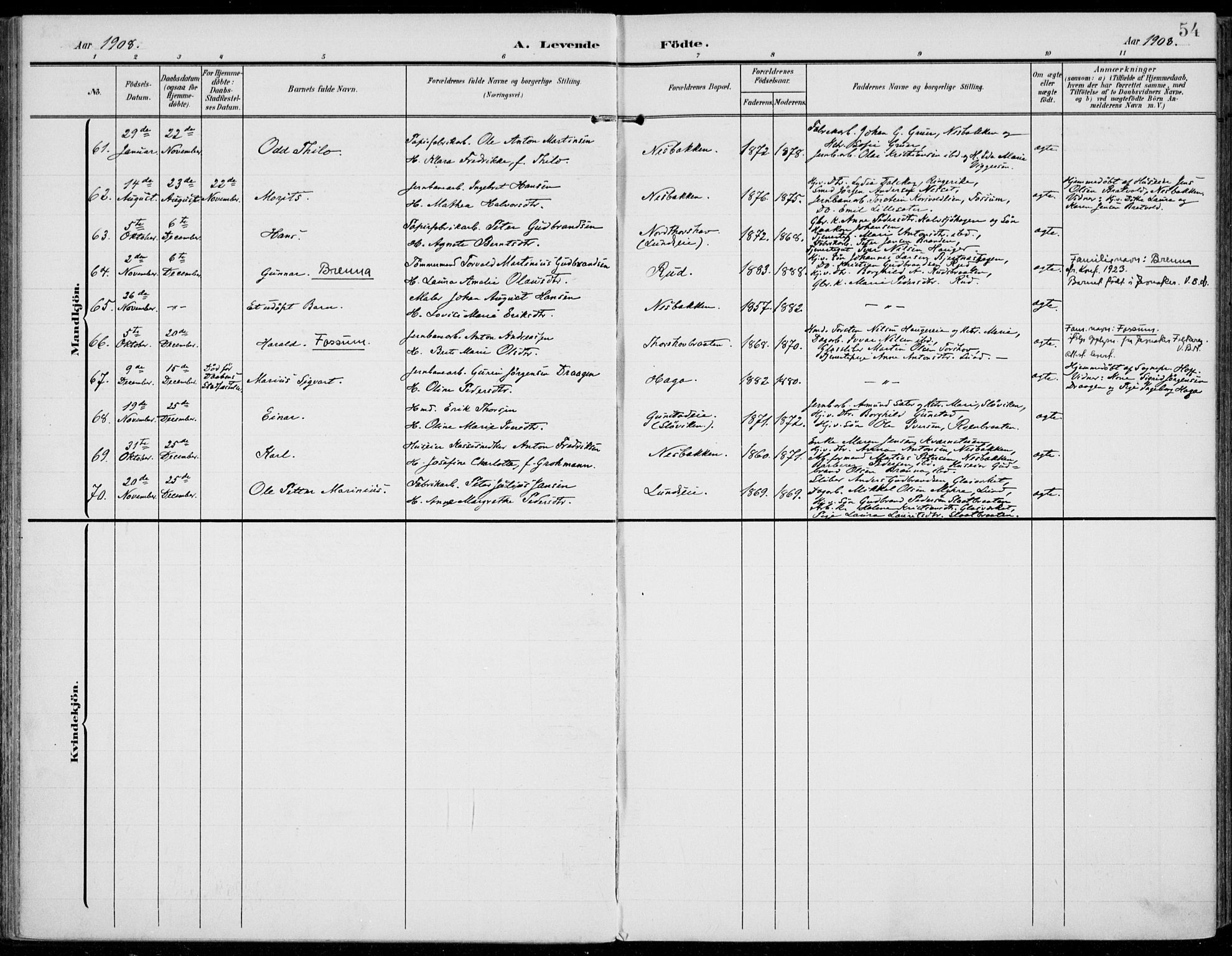 Jevnaker prestekontor, AV/SAH-PREST-116/H/Ha/Haa/L0011: Parish register (official) no. 11, 1902-1913, p. 54