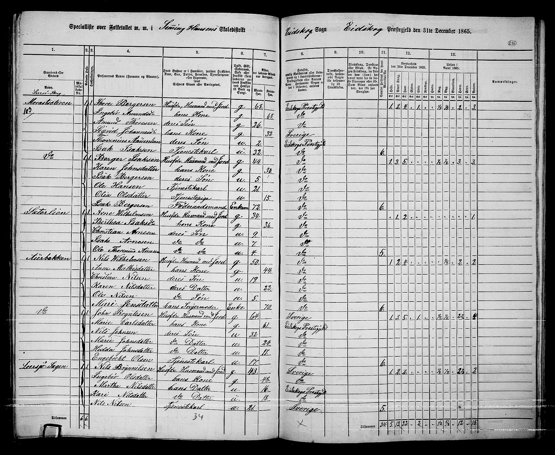 RA, 1865 census for Eidskog, 1865, p. 212