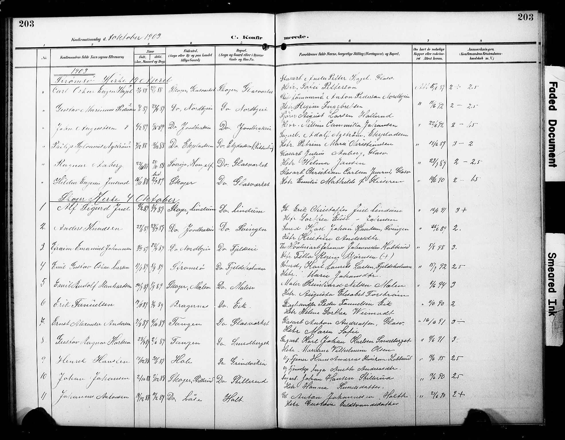 Skoger kirkebøker, AV/SAKO-A-59/G/Ga/L0003: Parish register (copy) no. I 3, 1900-1927, p. 203