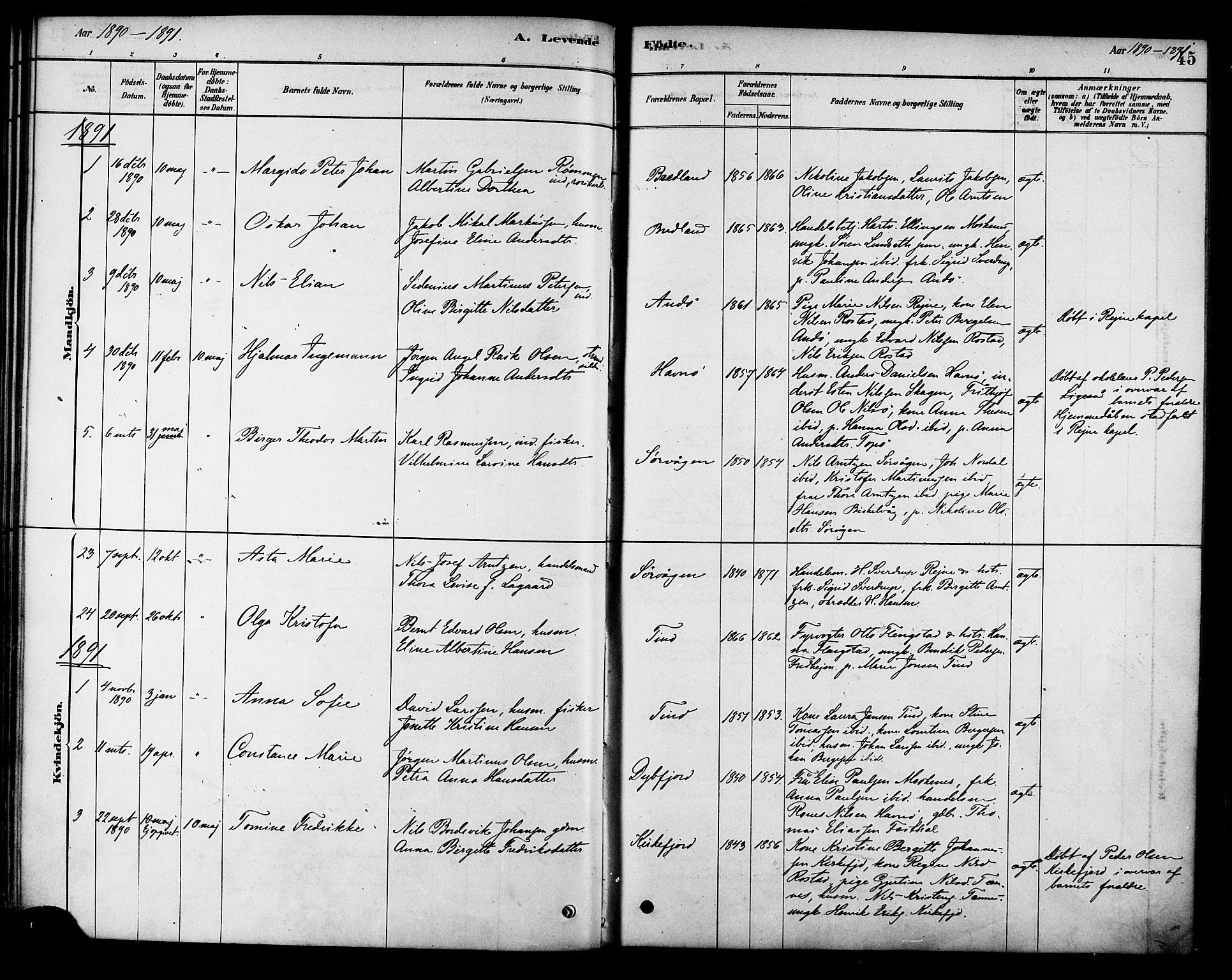 Ministerialprotokoller, klokkerbøker og fødselsregistre - Nordland, AV/SAT-A-1459/886/L1219: Parish register (official) no. 886A01, 1878-1892, p. 45