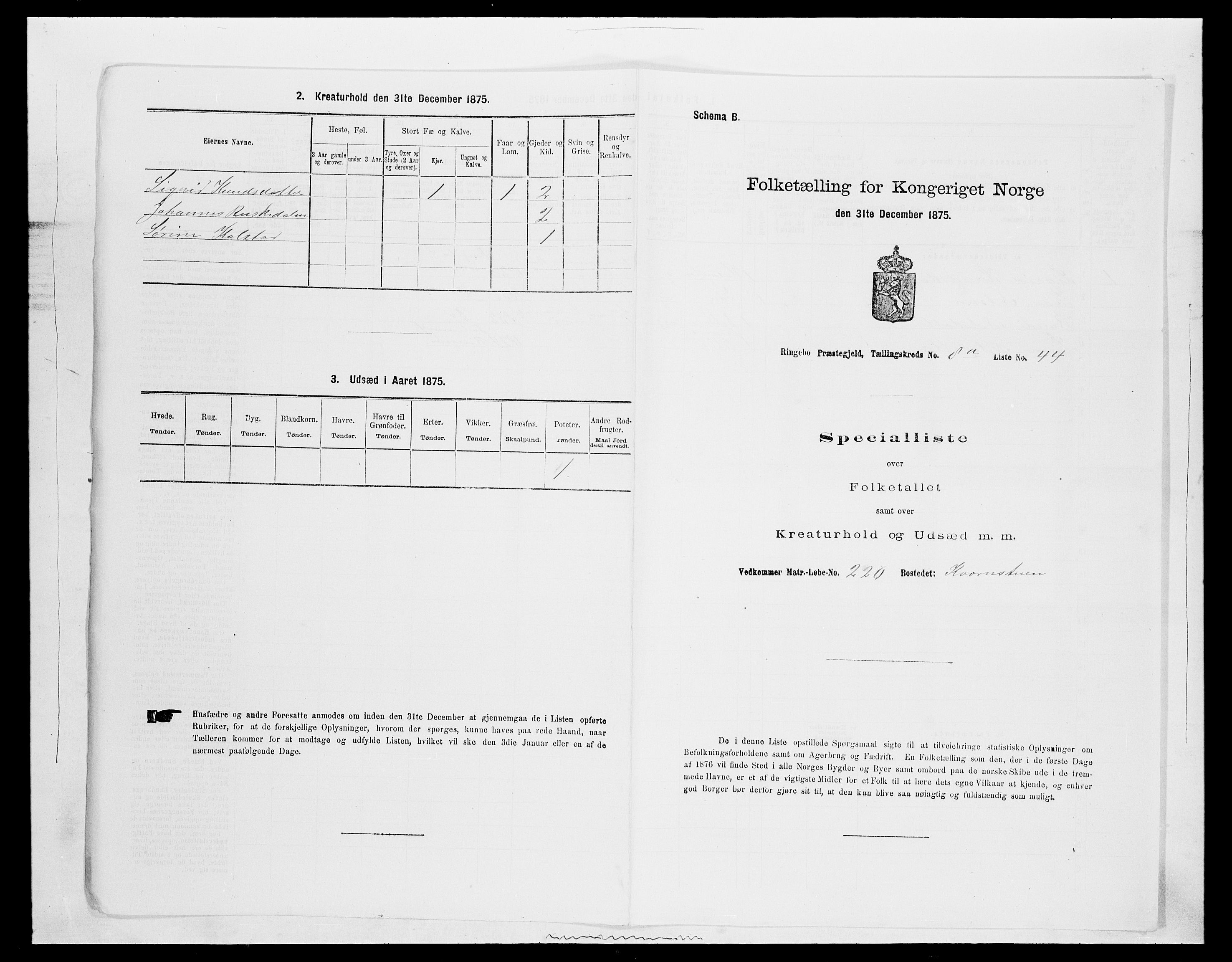 SAH, 1875 census for 0520P Ringebu, 1875, p. 1267