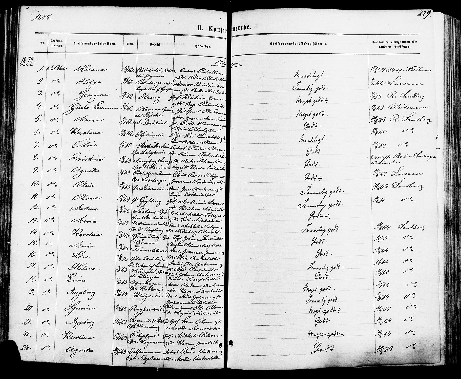 Vang prestekontor, Hedmark, AV/SAH-PREST-008/H/Ha/Haa/L0015: Parish register (official) no. 15, 1871-1885, p. 229