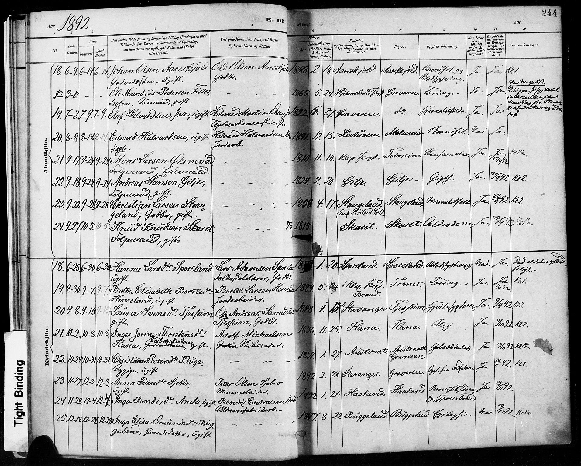 Høyland sokneprestkontor, AV/SAST-A-101799/001/30BA/L0013: Parish register (official) no. A 13.2, 1889-1898, p. 244