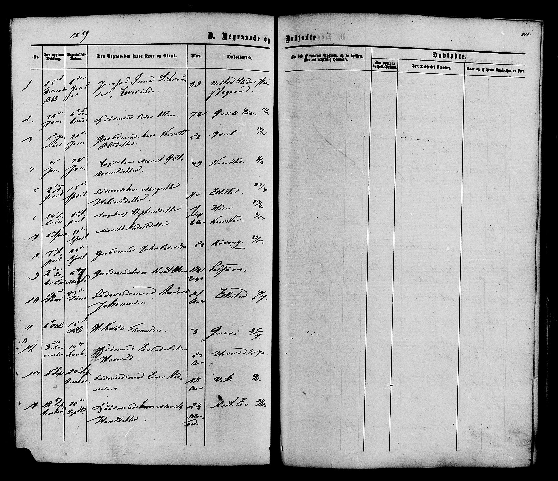 Vestre Slidre prestekontor, SAH/PREST-136/H/Ha/Haa/L0003: Parish register (official) no. 3, 1865-1880, p. 218