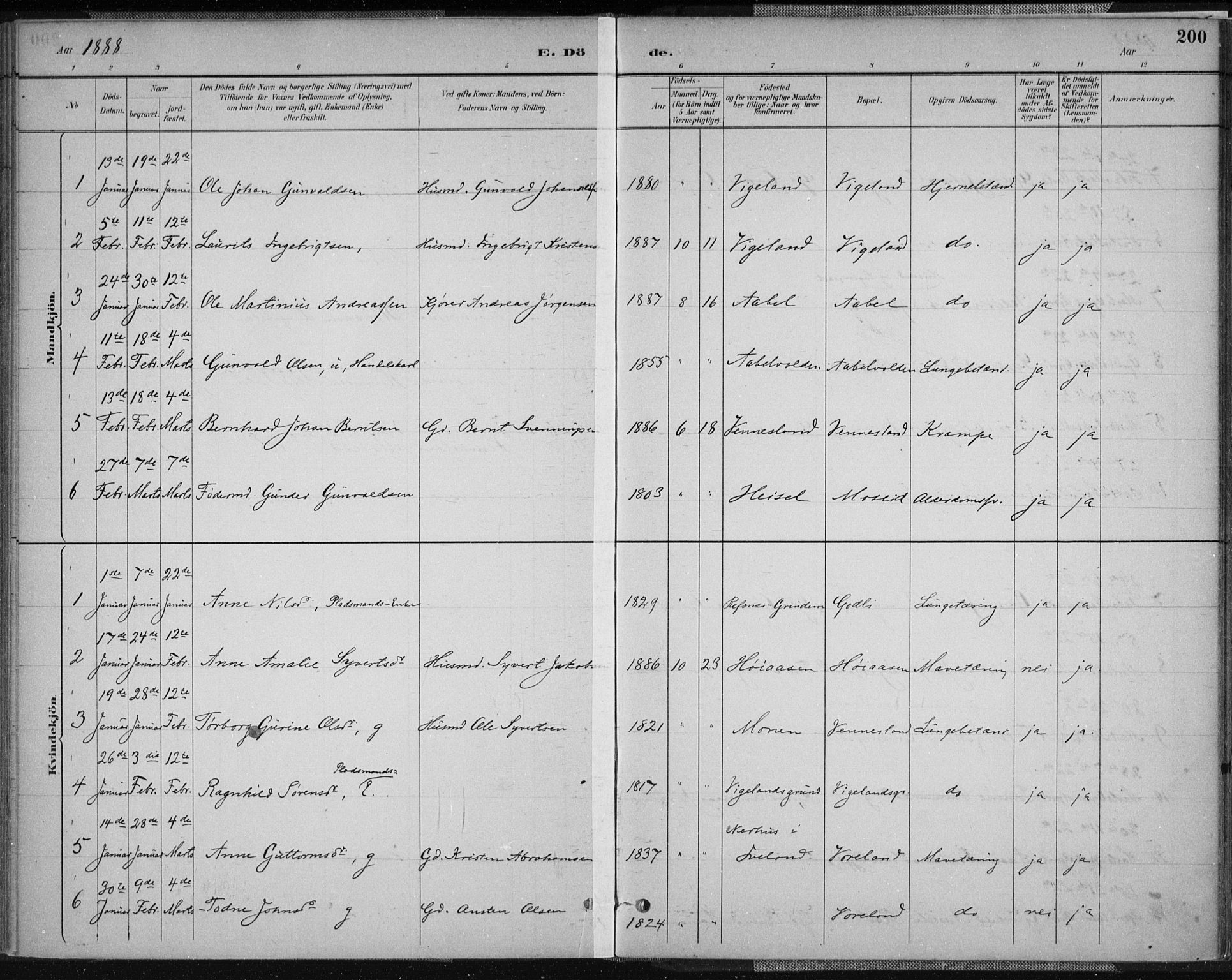 Vennesla sokneprestkontor, AV/SAK-1111-0045/Fa/Fab/L0004: Parish register (official) no. A 4, 1884-1896, p. 200