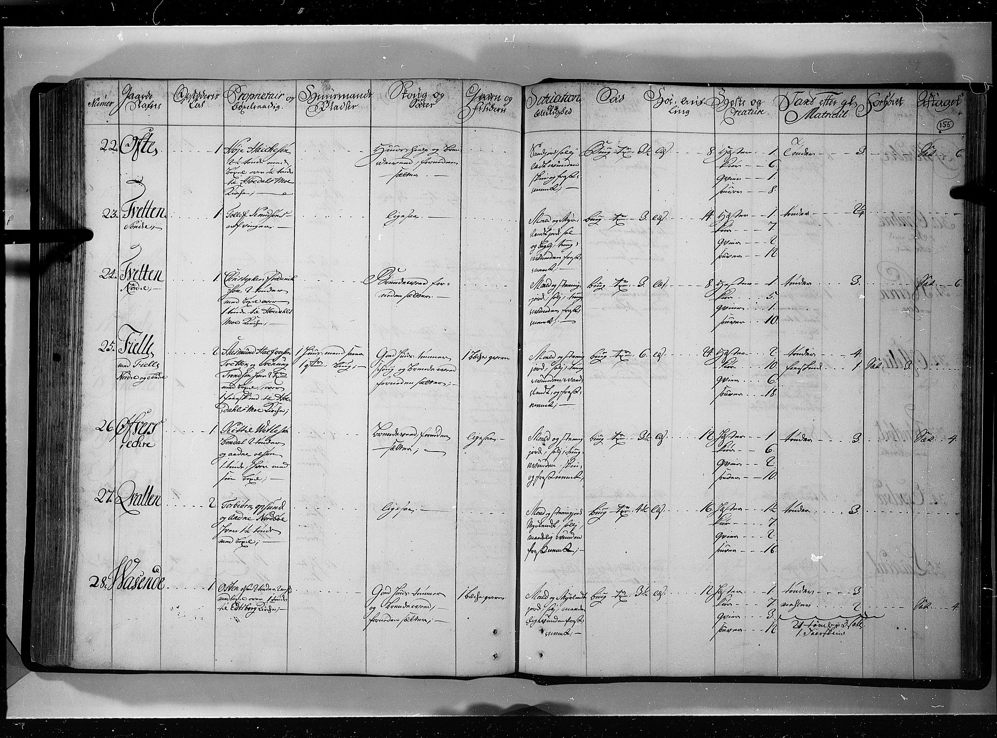 Rentekammeret inntil 1814, Realistisk ordnet avdeling, AV/RA-EA-4070/N/Nb/Nbf/L0121: Øvre og Nedre Telemark eksaminasjonsprotokoll, 1723, p. 154b-155a