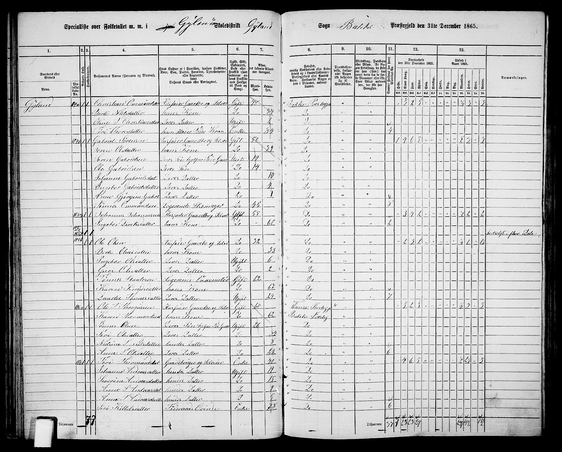 RA, 1865 census for Bakke, 1865, p. 44