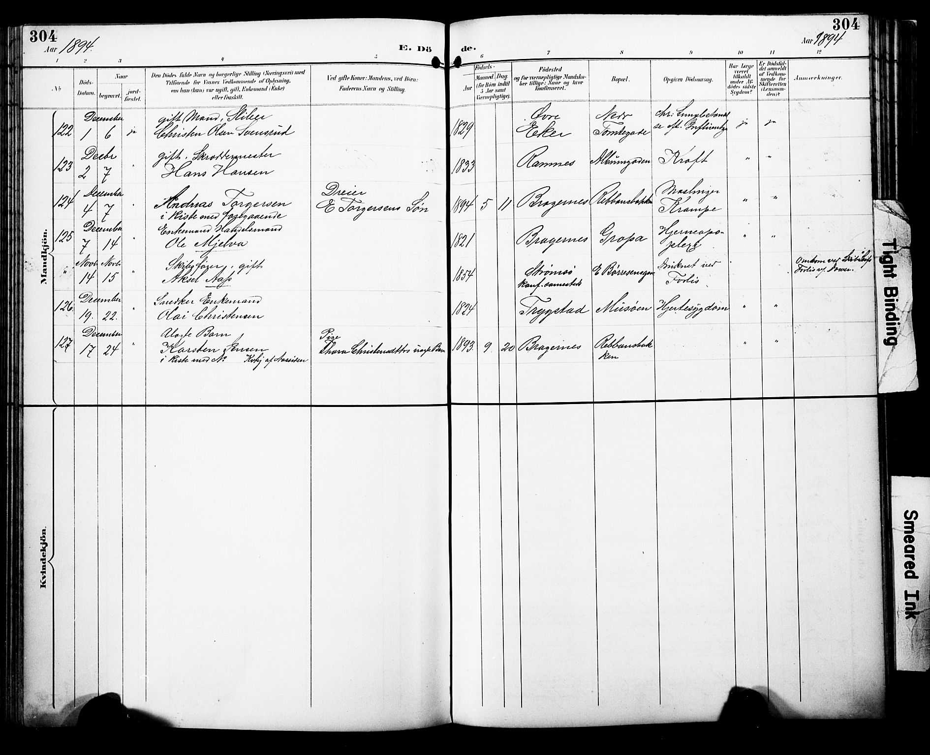 Bragernes kirkebøker, AV/SAKO-A-6/F/Fb/L0008: Parish register (official) no. II 8, 1894-1902, p. 304