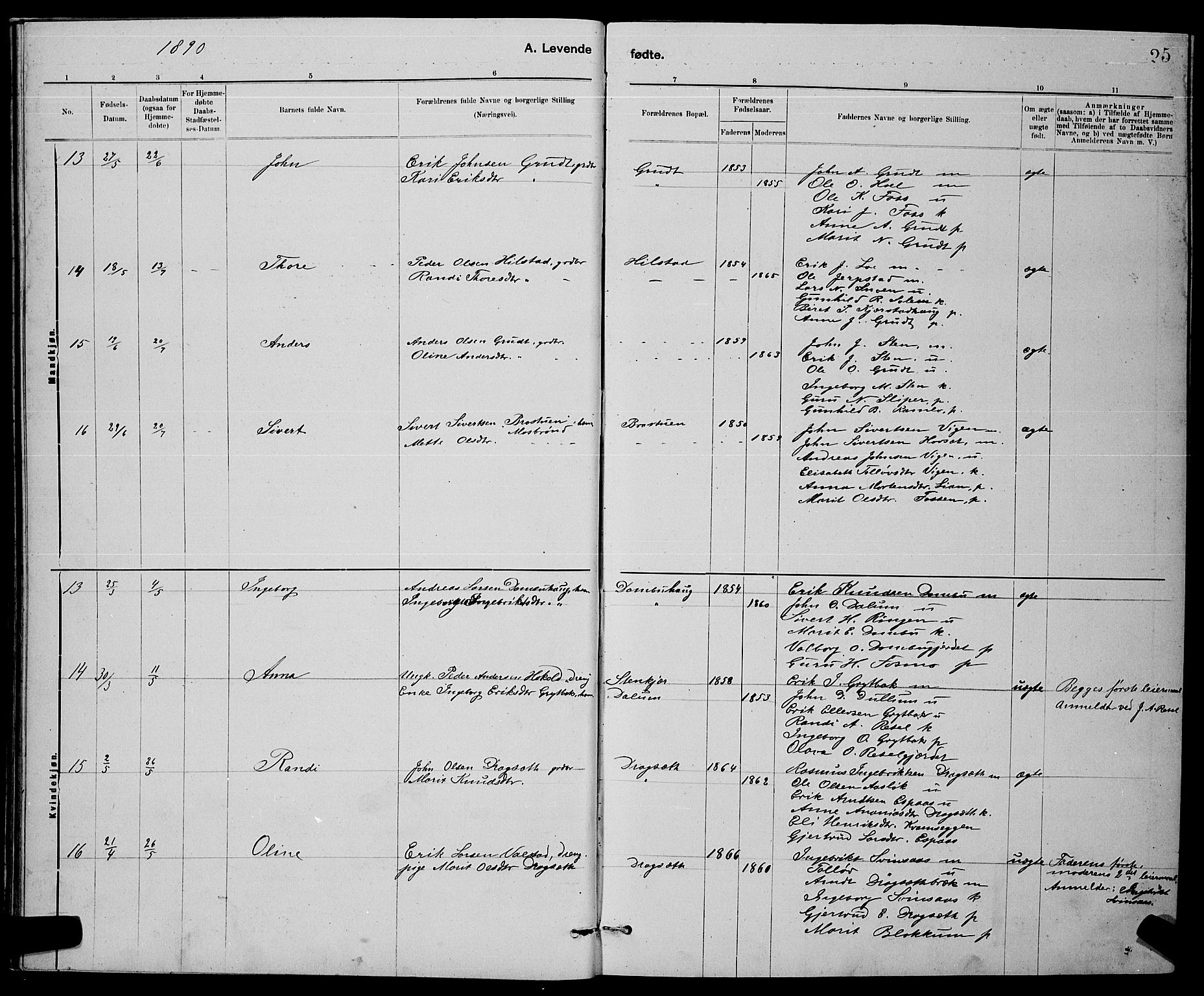 Ministerialprotokoller, klokkerbøker og fødselsregistre - Sør-Trøndelag, AV/SAT-A-1456/672/L0863: Parish register (copy) no. 672C02, 1888-1901, p. 25