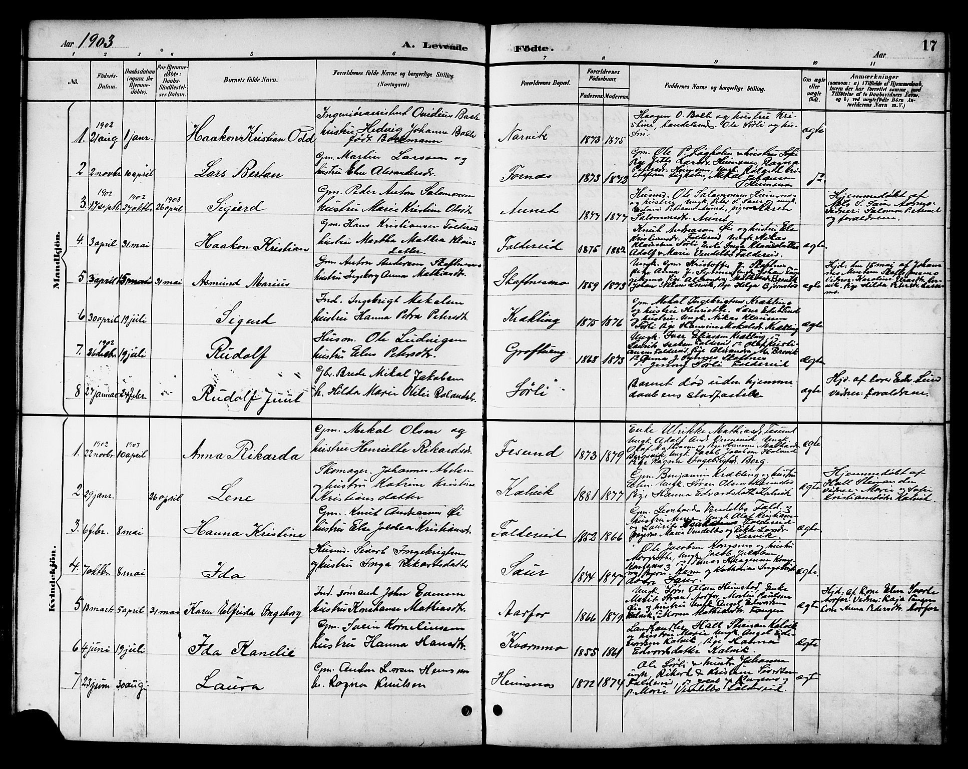 Ministerialprotokoller, klokkerbøker og fødselsregistre - Nord-Trøndelag, SAT/A-1458/783/L0662: Parish register (copy) no. 783C02, 1894-1919, p. 17