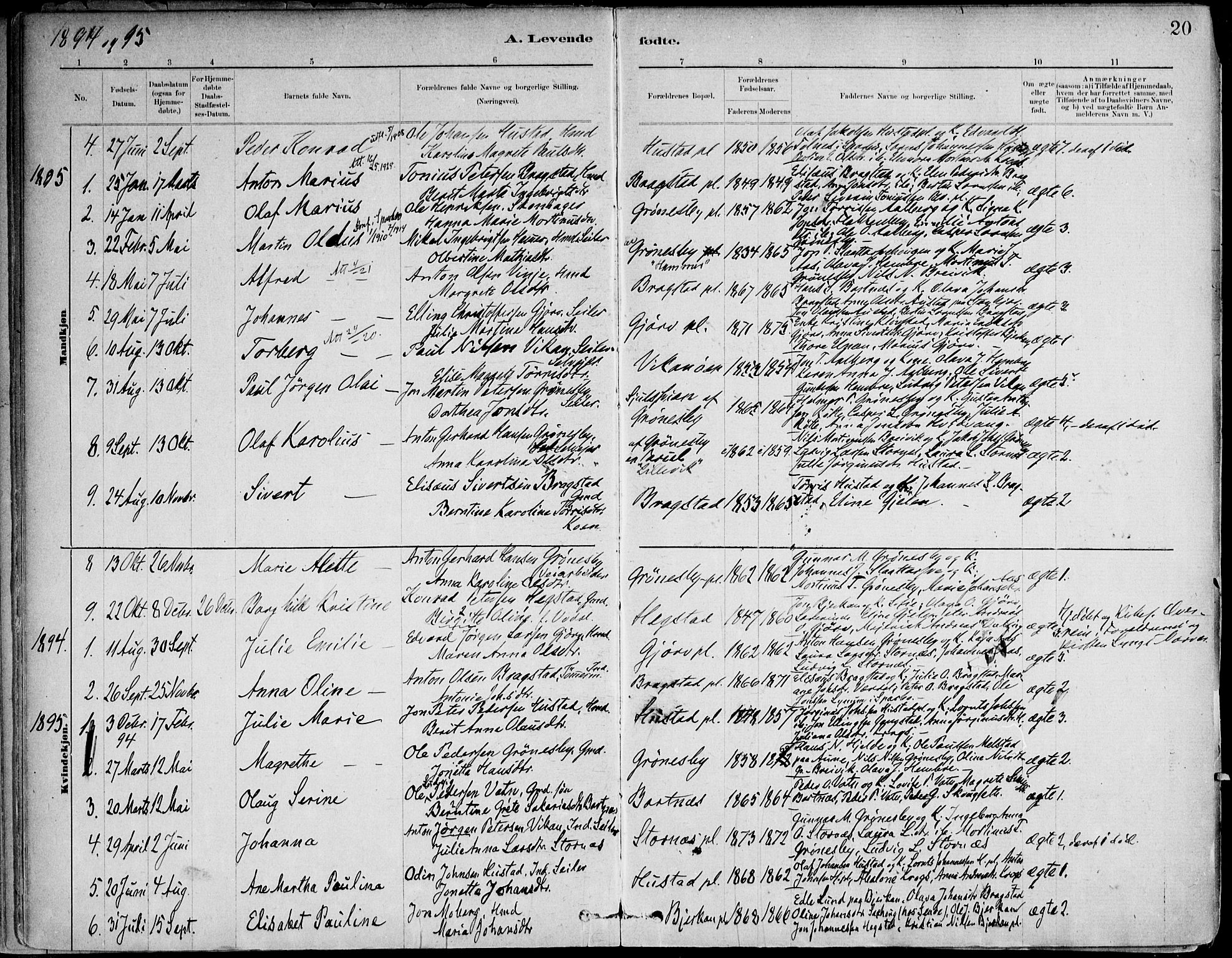 Ministerialprotokoller, klokkerbøker og fødselsregistre - Nord-Trøndelag, AV/SAT-A-1458/732/L0316: Parish register (official) no. 732A01, 1879-1921, p. 20