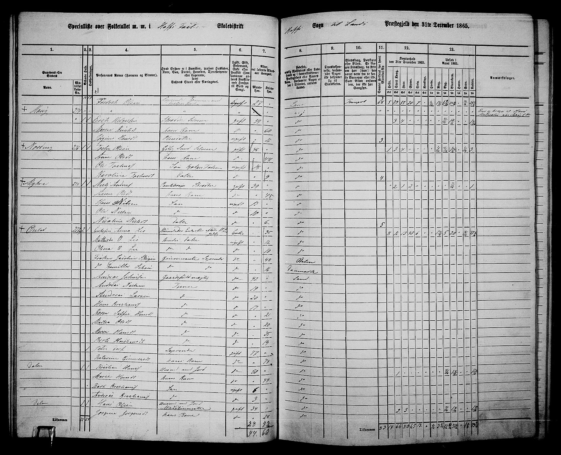 RA, 1865 census for Land, 1865, p. 306