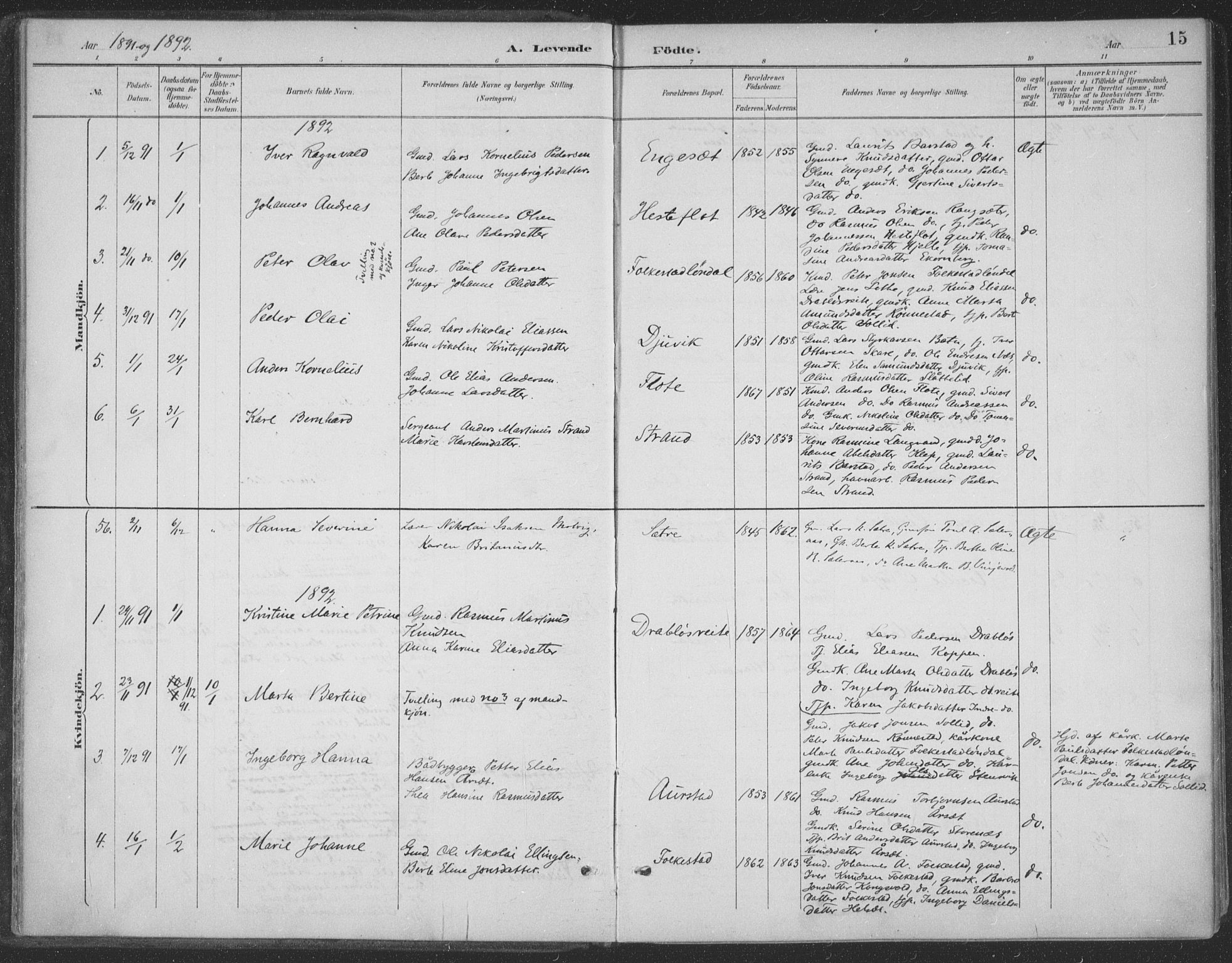 Ministerialprotokoller, klokkerbøker og fødselsregistre - Møre og Romsdal, AV/SAT-A-1454/511/L0142: Parish register (official) no. 511A09, 1891-1905, p. 15