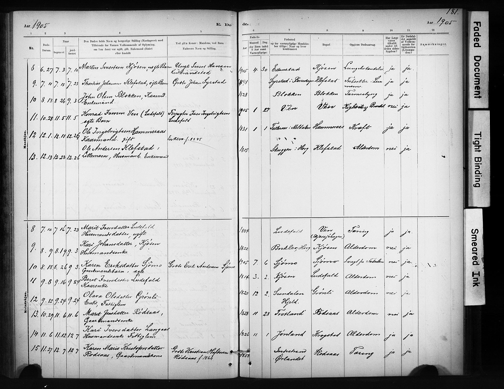 Ministerialprotokoller, klokkerbøker og fødselsregistre - Sør-Trøndelag, SAT/A-1456/694/L1127: Parish register (official) no. 694A01, 1887-1905, p. 181