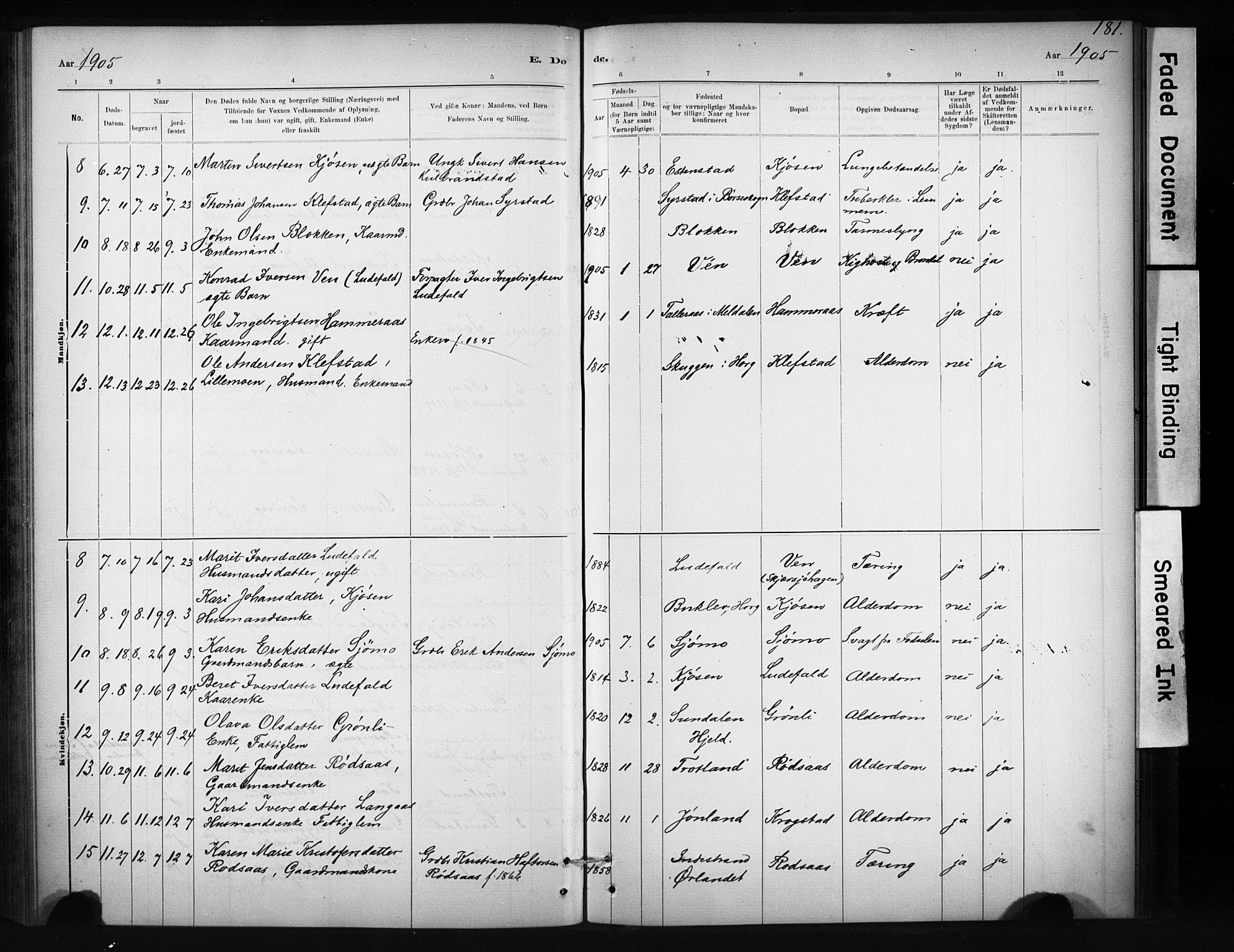 Ministerialprotokoller, klokkerbøker og fødselsregistre - Sør-Trøndelag, AV/SAT-A-1456/694/L1127: Parish register (official) no. 694A01, 1887-1905, p. 181