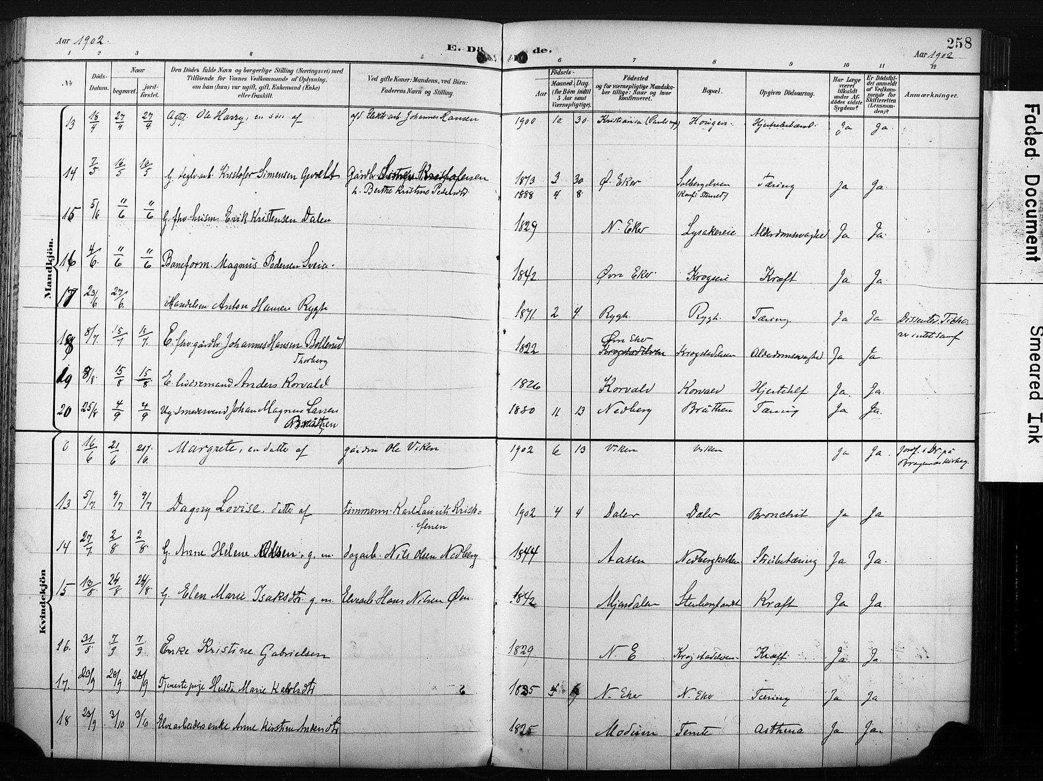 Nedre Eiker kirkebøker, AV/SAKO-A-612/F/Fa/L0005: Parish register (official) no. 5, 1898-1905, p. 258