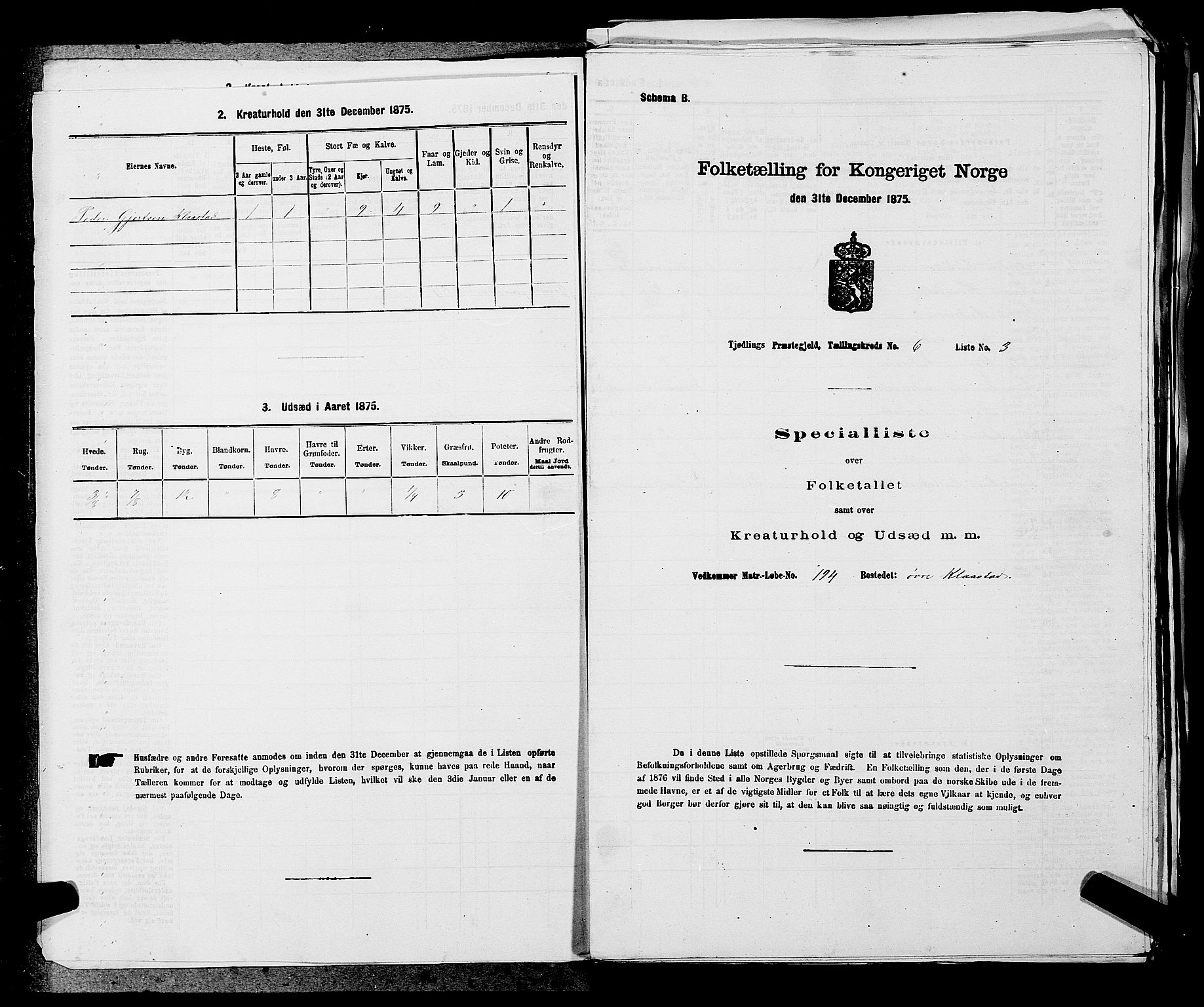 SAKO, 1875 census for 0725P Tjølling, 1875, p. 1035