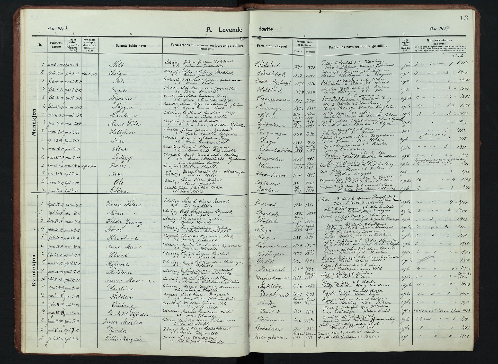 Elverum prestekontor, AV/SAH-PREST-044/H/Ha/Hab/L0011: Parish register (copy) no. 11, 1915-1947, p. 13