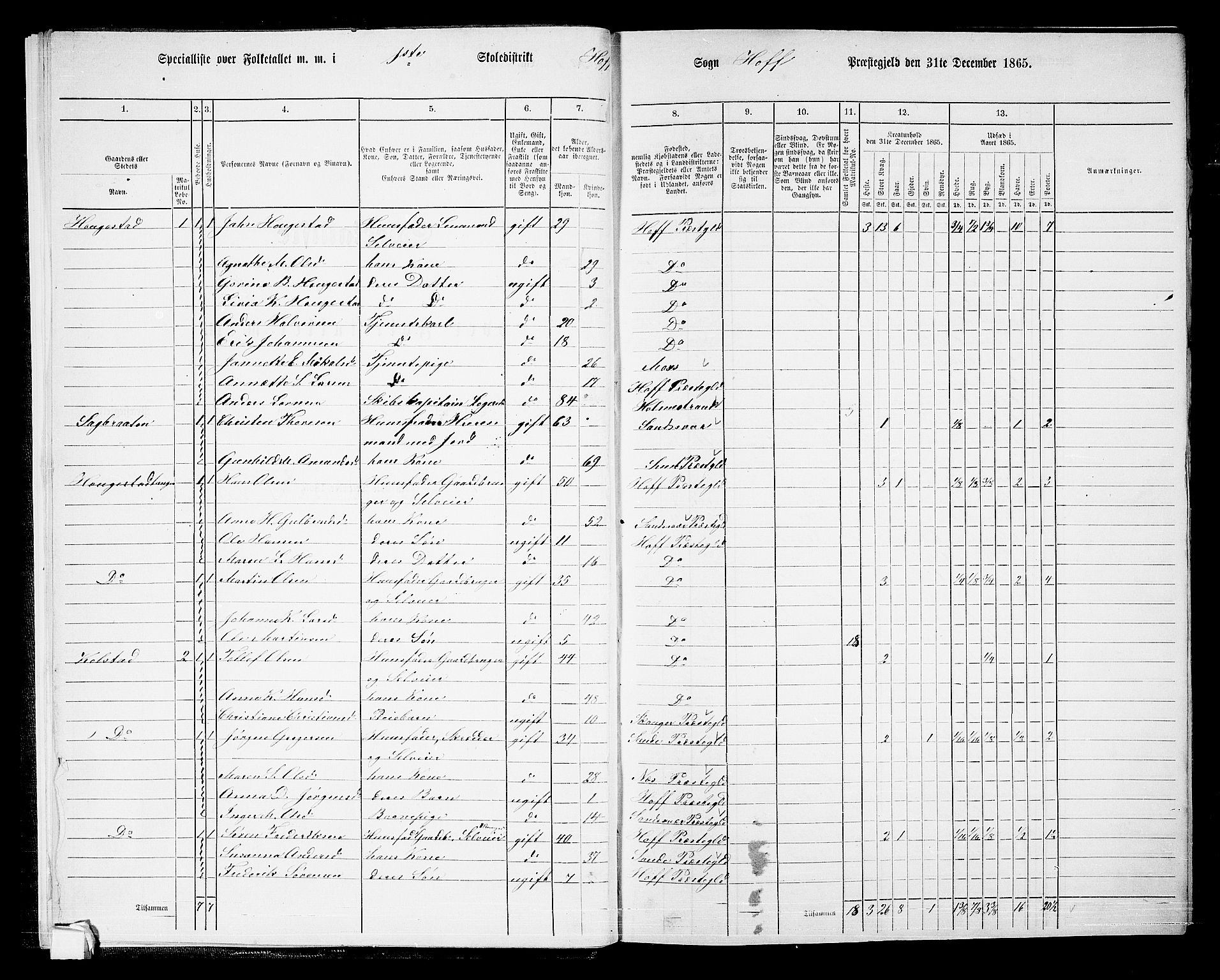 RA, 1865 census for Hof, 1865, p. 12