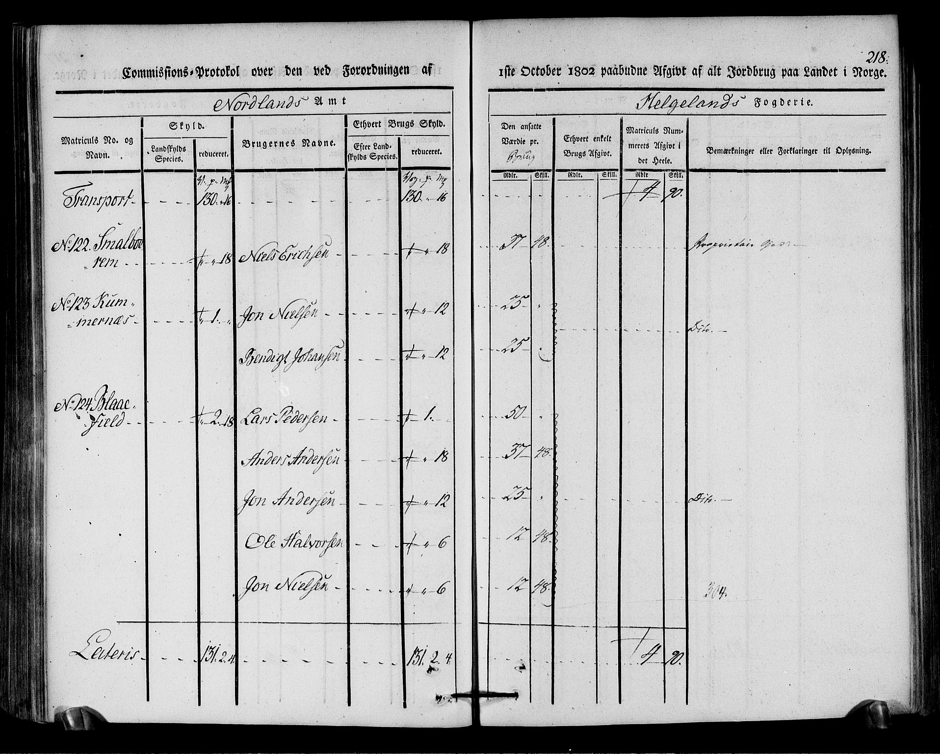 Rentekammeret inntil 1814, Realistisk ordnet avdeling, AV/RA-EA-4070/N/Ne/Nea/L0157: Helgeland fogderi. Kommisjonsprotokoll, 1803, p. 217