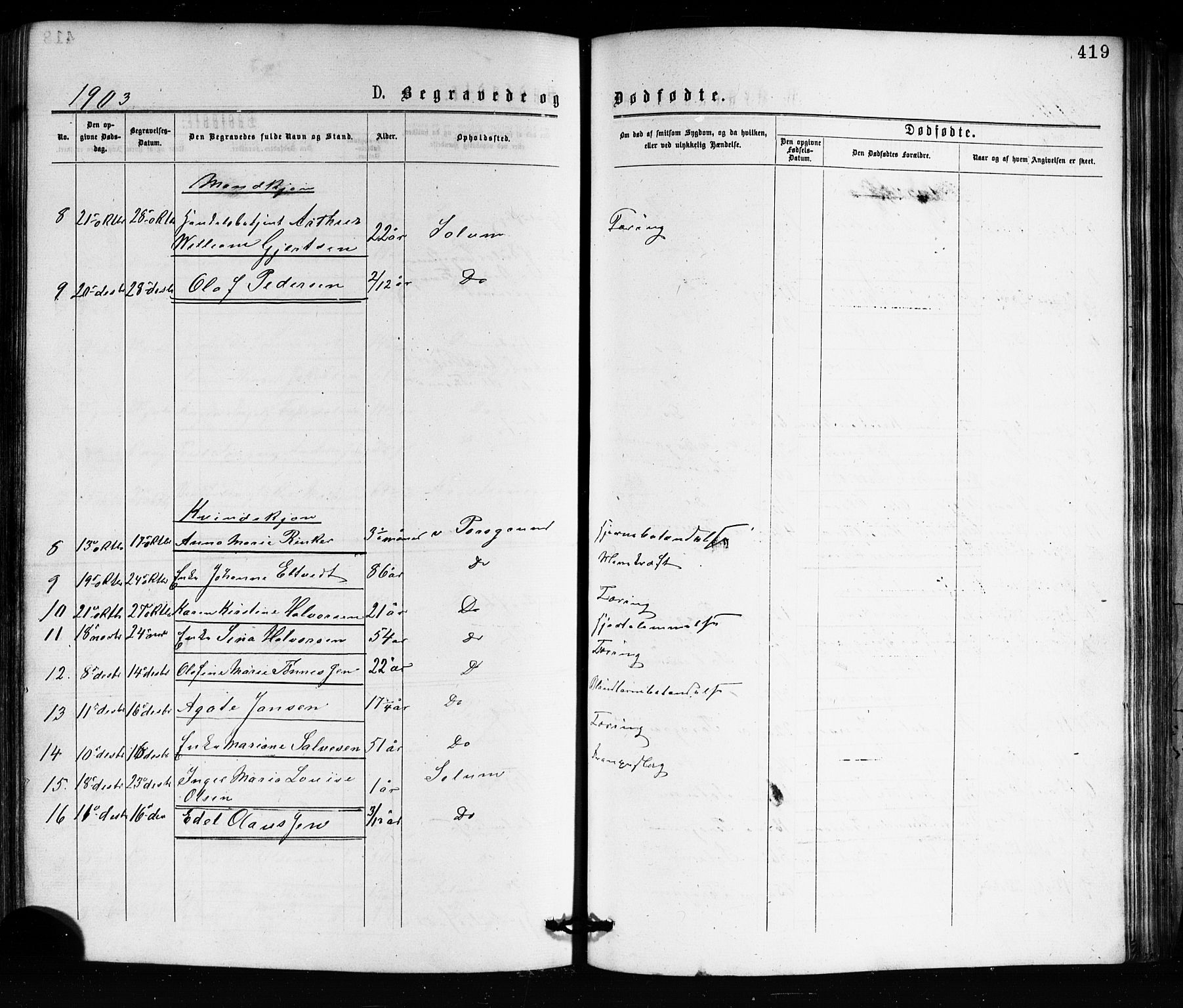 Porsgrunn kirkebøker , AV/SAKO-A-104/G/Ga/L0003: Parish register (copy) no. I 3, 1877-1915, p. 419