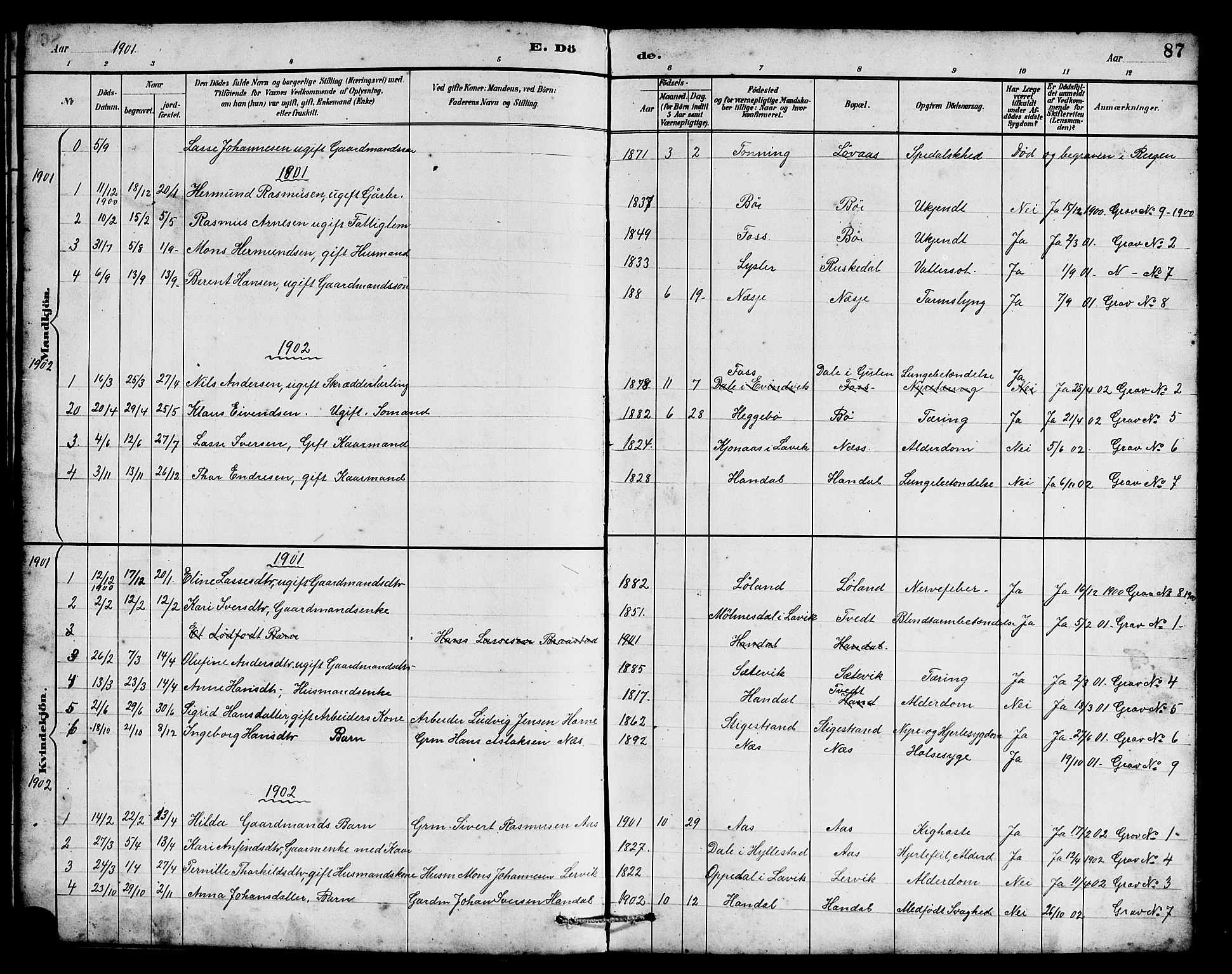 Hyllestad sokneprestembete, SAB/A-80401: Parish register (copy) no. B 2, 1889-1915, p. 87