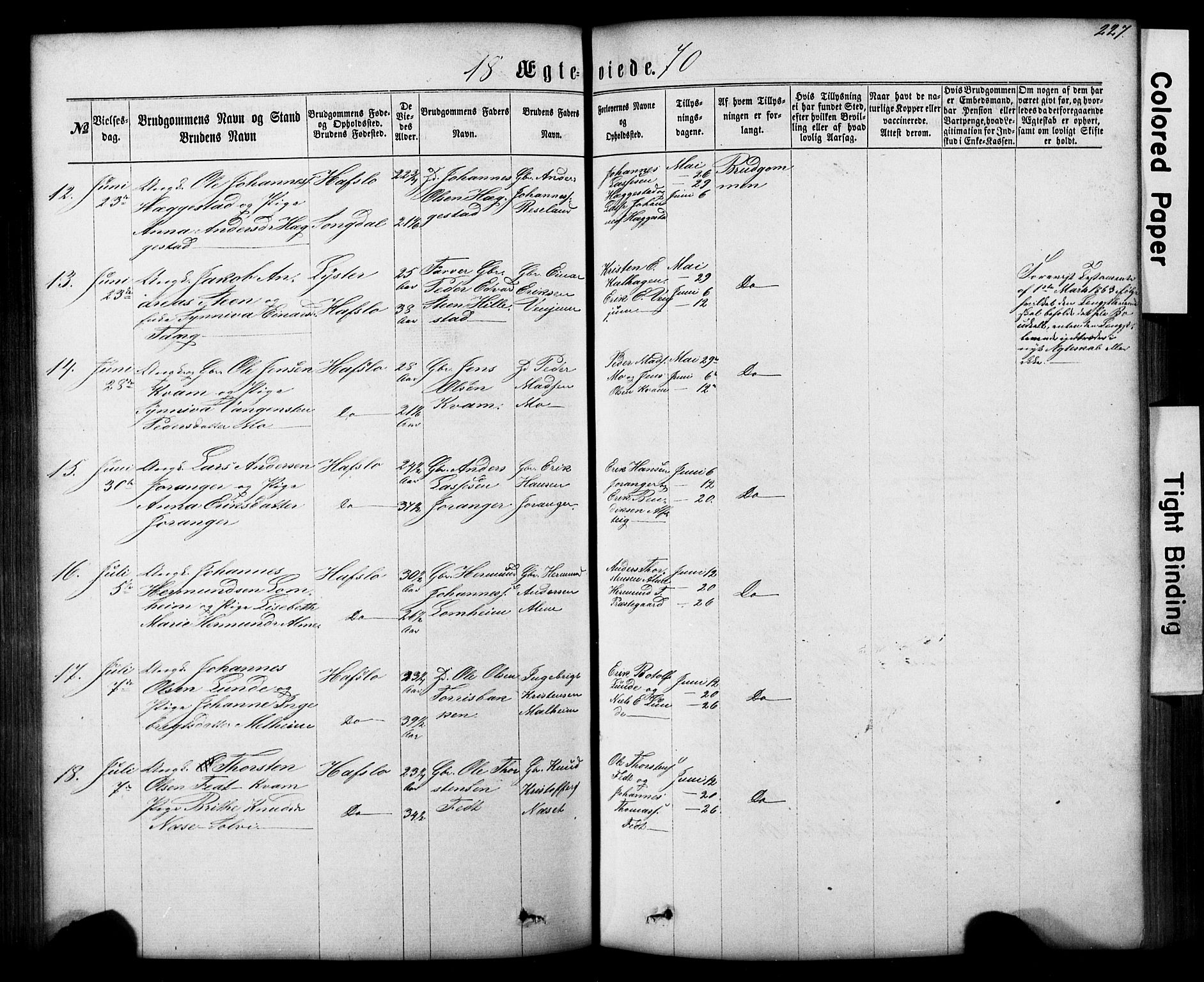 Hafslo sokneprestembete, AV/SAB-A-80301/H/Hab/Haba/L0001: Parish register (copy) no. A 1, 1866-1908, p. 227