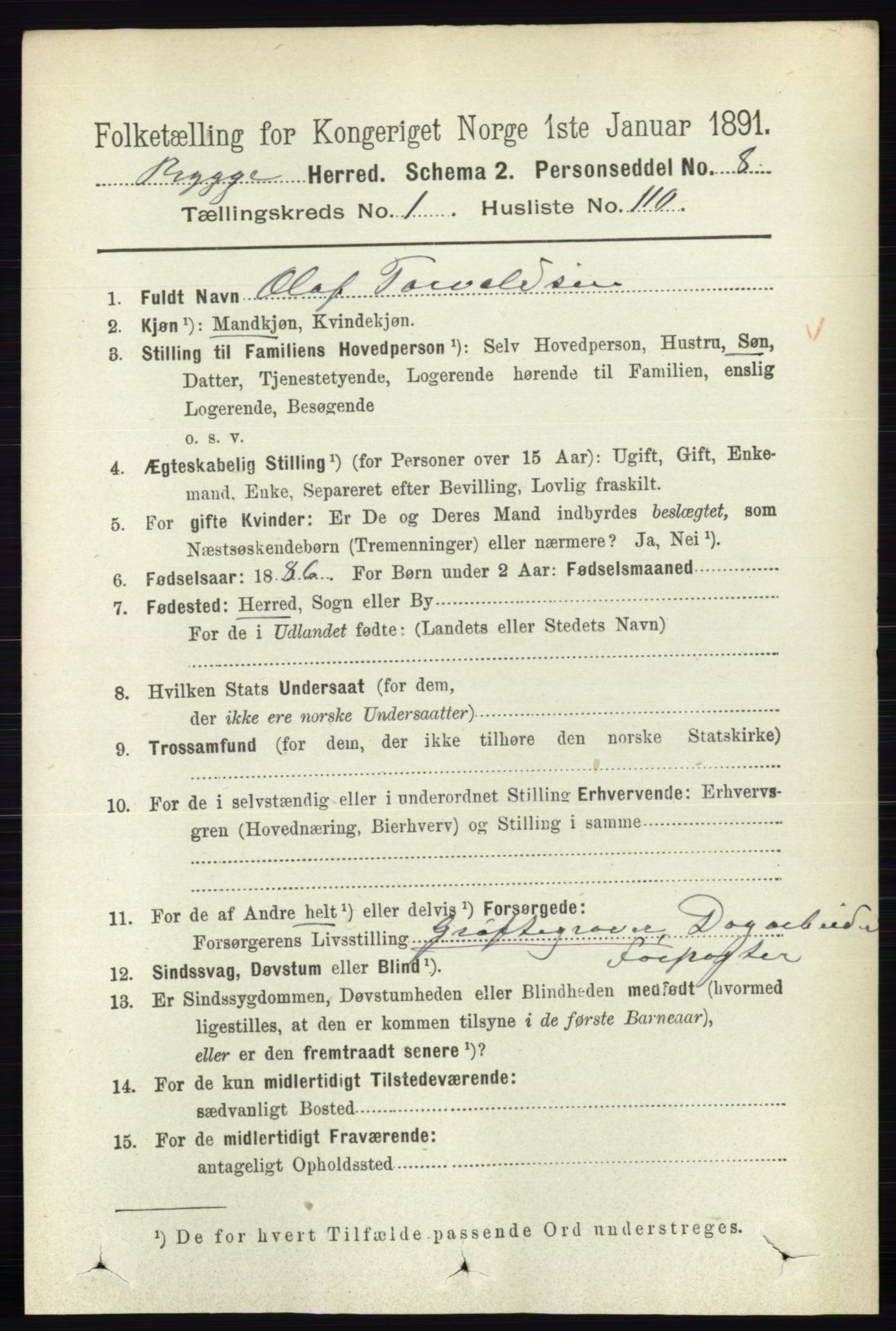 RA, 1891 census for 0136 Rygge, 1891, p. 808