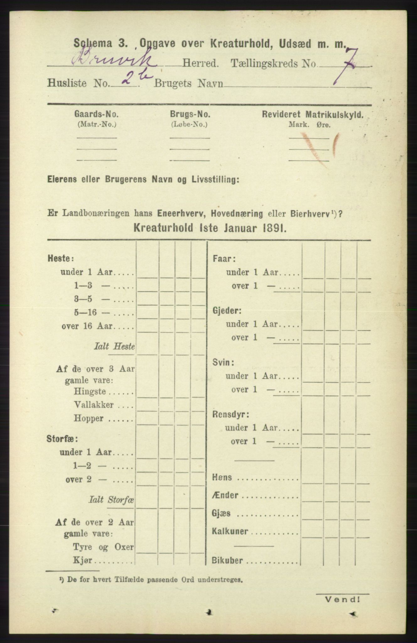 RA, 1891 census for 1251 Bruvik, 1891, p. 4633