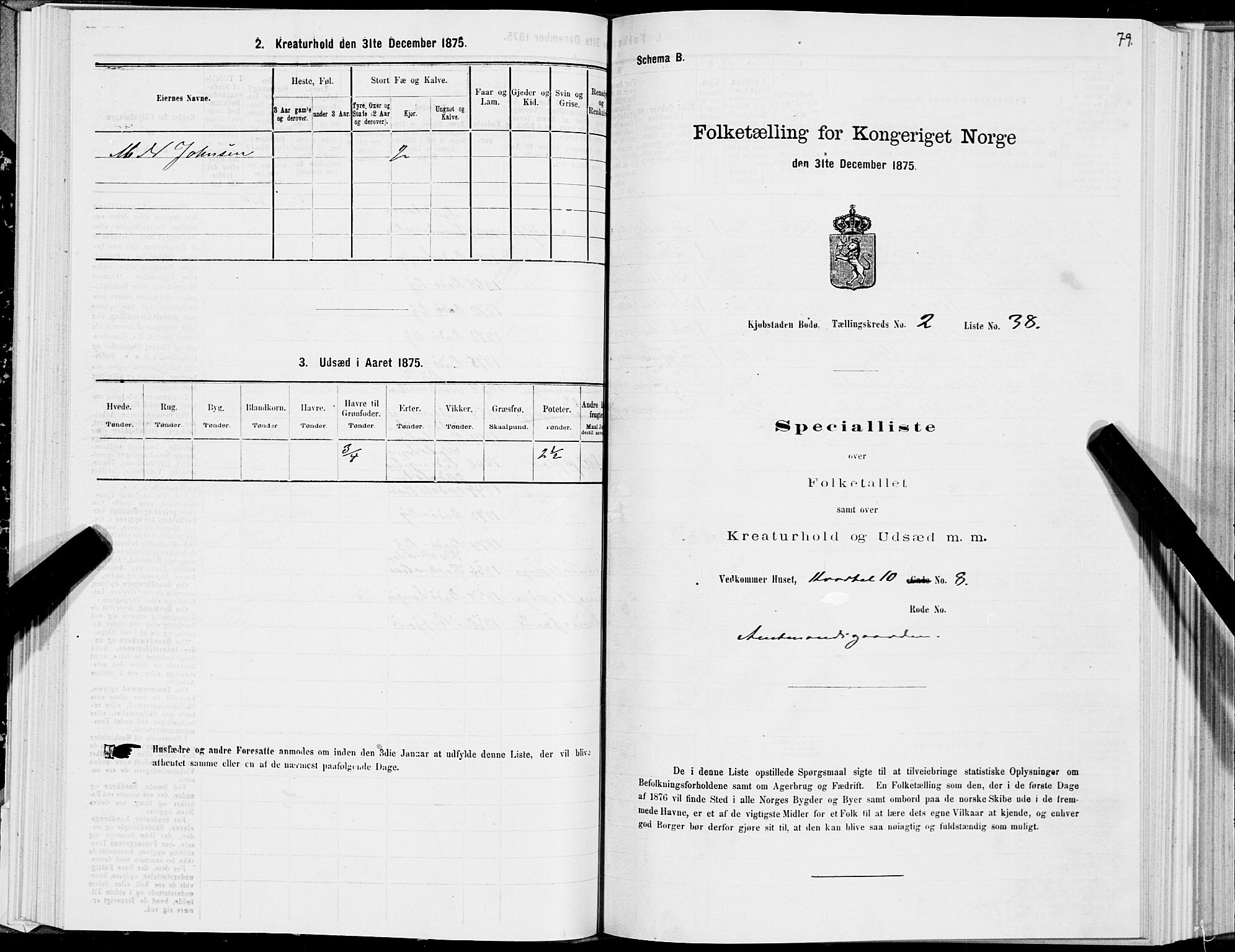 SAT, 1875 census for 1804B Bodø/Bodø, 1875, p. 79