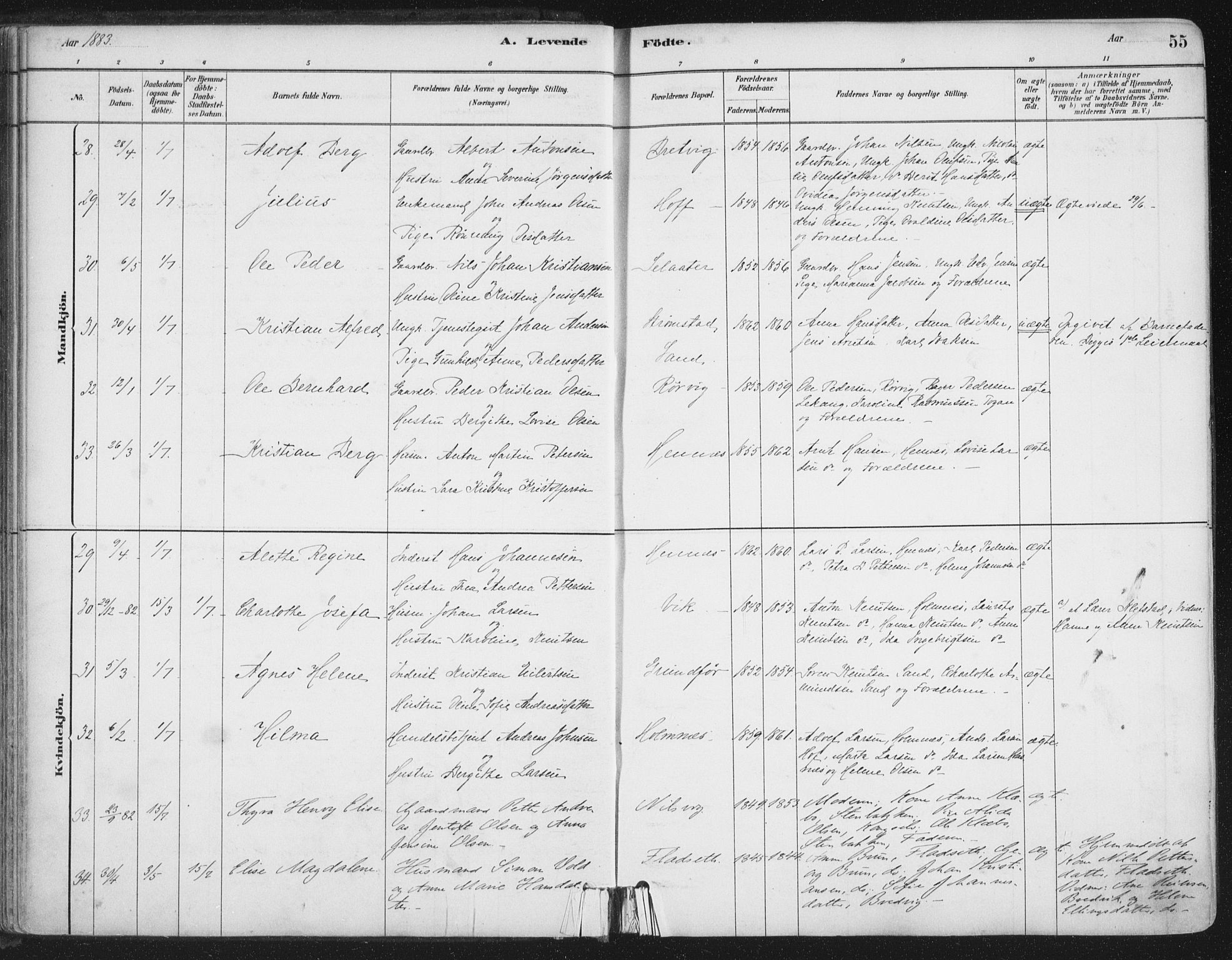 Ministerialprotokoller, klokkerbøker og fødselsregistre - Nordland, SAT/A-1459/888/L1244: Parish register (official) no. 888A10, 1880-1890, p. 55