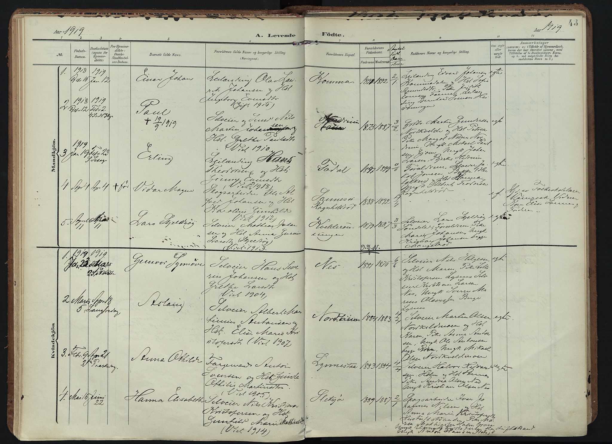 Hedrum kirkebøker, AV/SAKO-A-344/F/Fb/L0002: Parish register (official) no. II 2, 1906-1924, p. 43