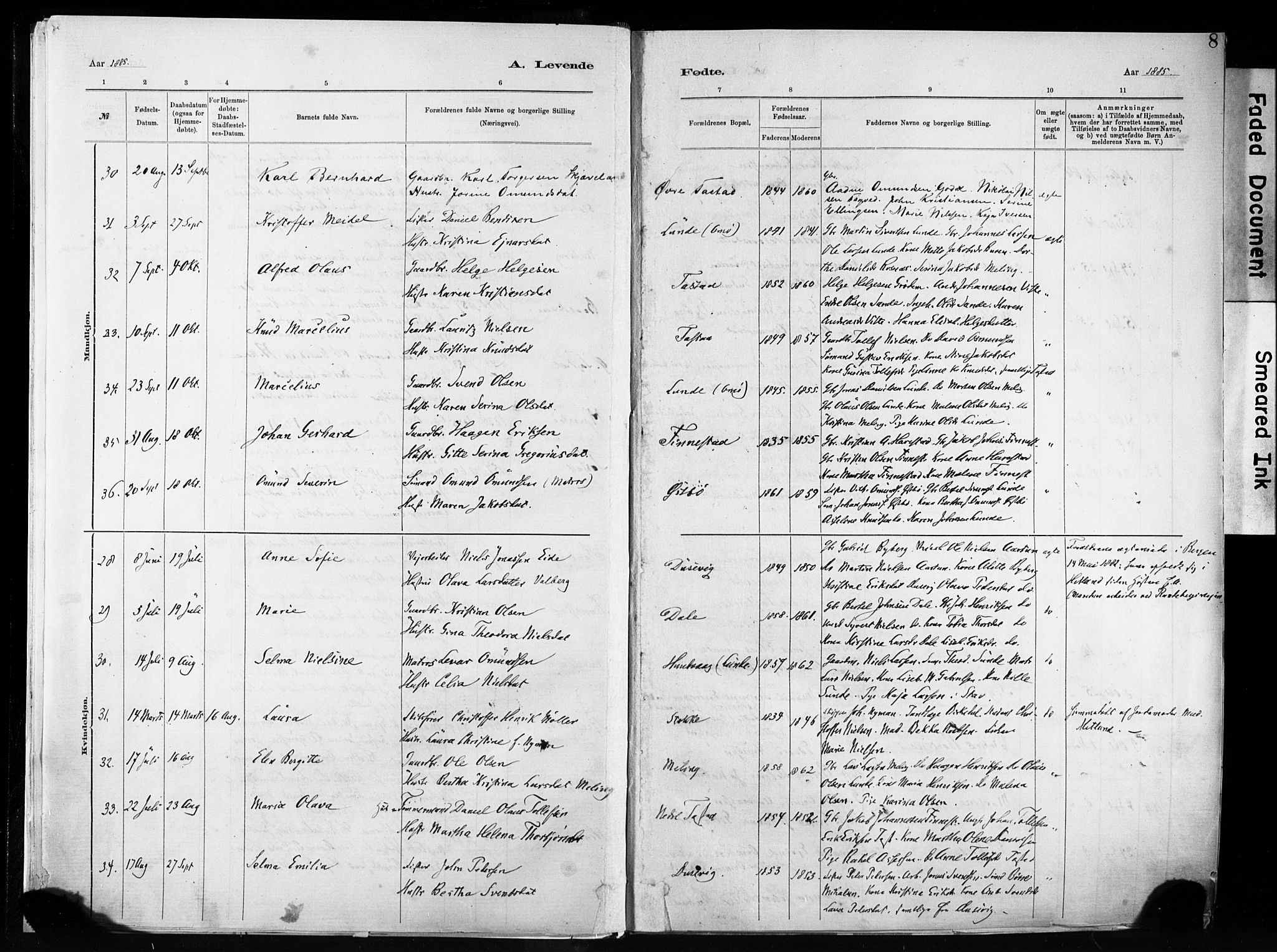 Hetland sokneprestkontor, AV/SAST-A-101826/30/30BA/L0011: Parish register (official) no. A 11, 1884-1911, p. 8