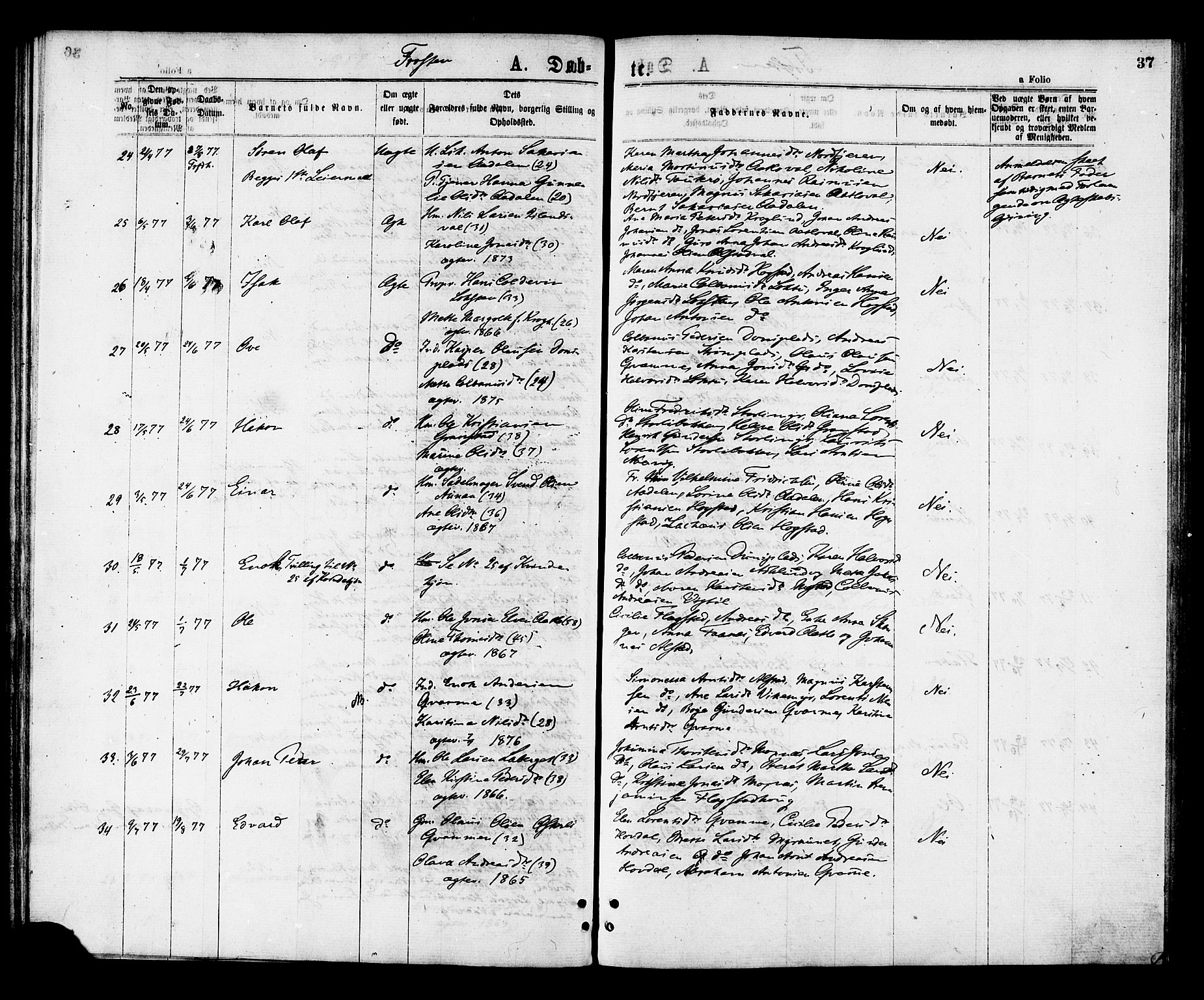 Ministerialprotokoller, klokkerbøker og fødselsregistre - Nord-Trøndelag, AV/SAT-A-1458/713/L0118: Parish register (official) no. 713A08 /1, 1875-1877, p. 37