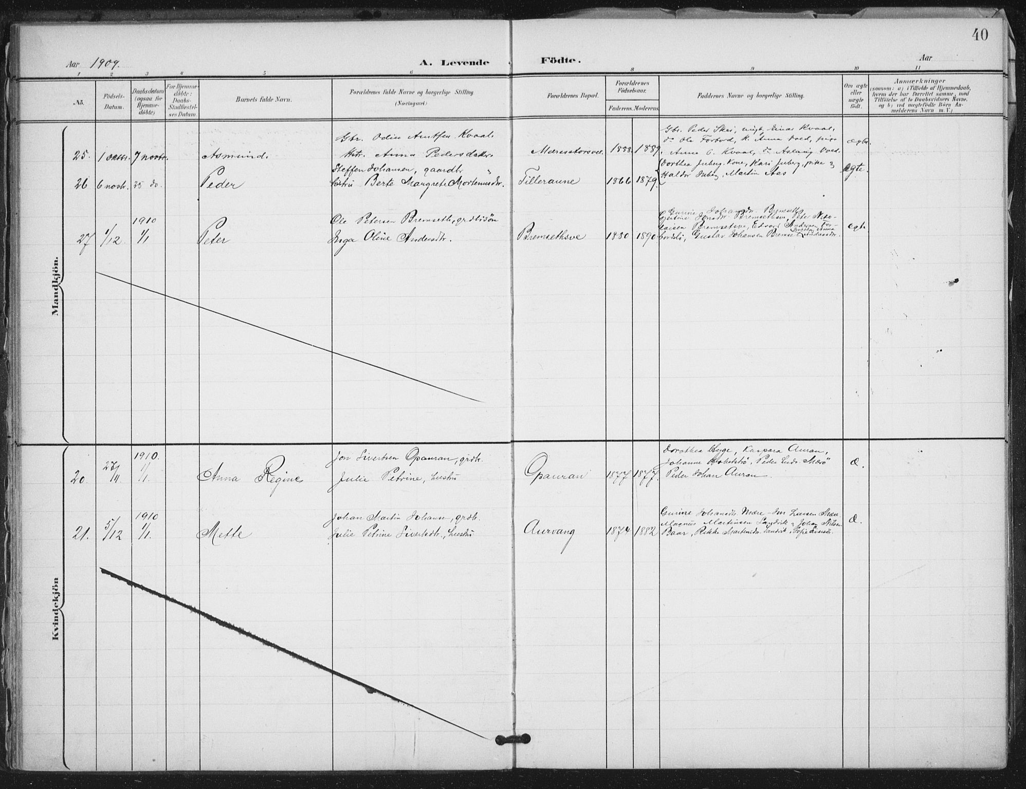 Ministerialprotokoller, klokkerbøker og fødselsregistre - Nord-Trøndelag, AV/SAT-A-1458/712/L0101: Parish register (official) no. 712A02, 1901-1916, p. 40