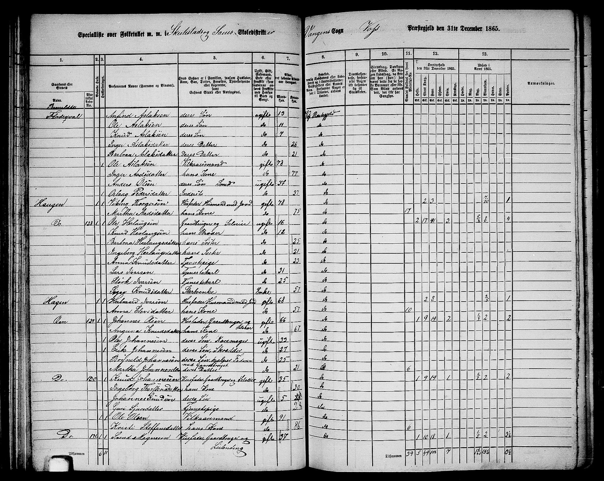 RA, 1865 census for Voss, 1865, p. 74