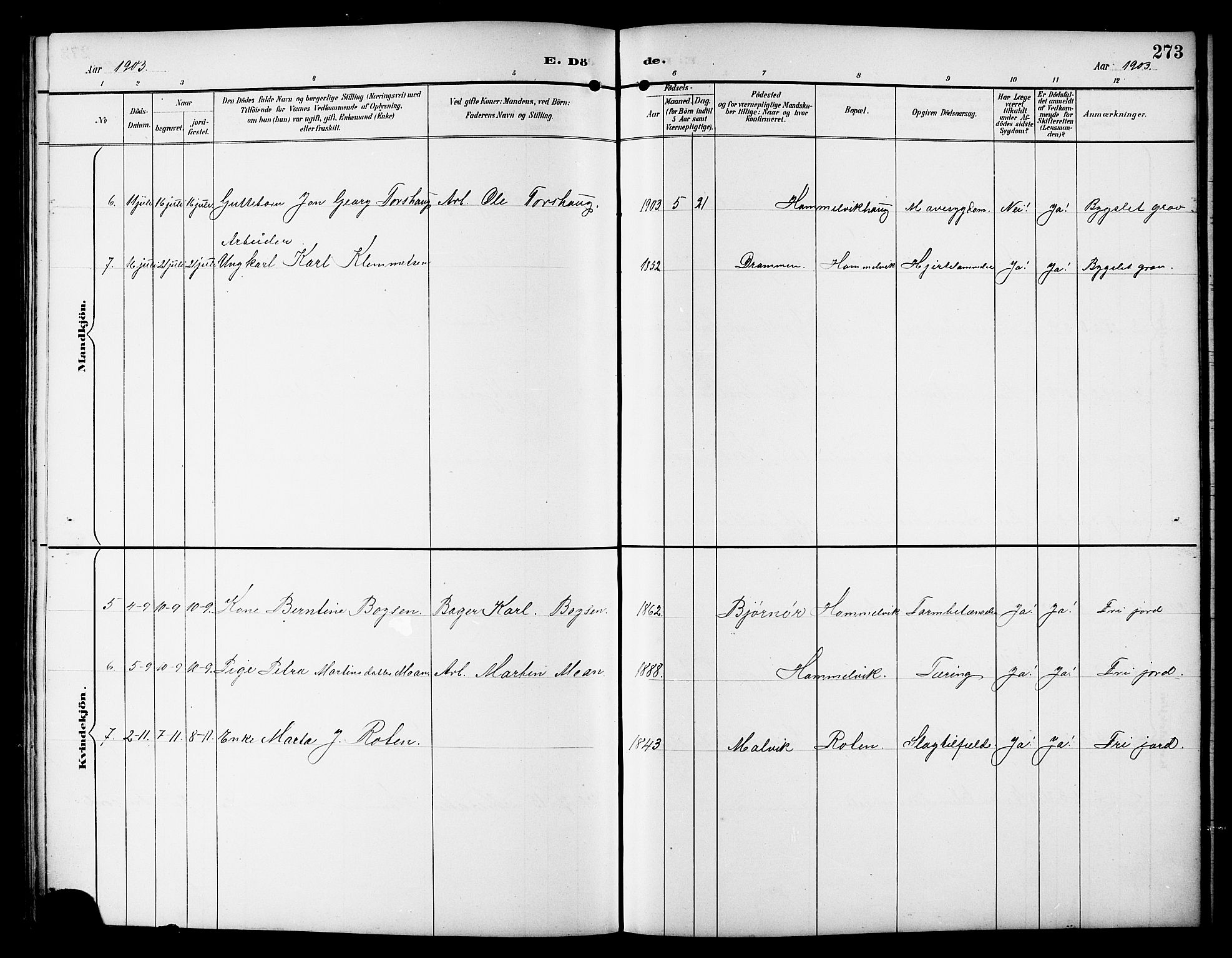 Ministerialprotokoller, klokkerbøker og fødselsregistre - Sør-Trøndelag, SAT/A-1456/617/L0431: Parish register (copy) no. 617C01, 1889-1910, p. 273
