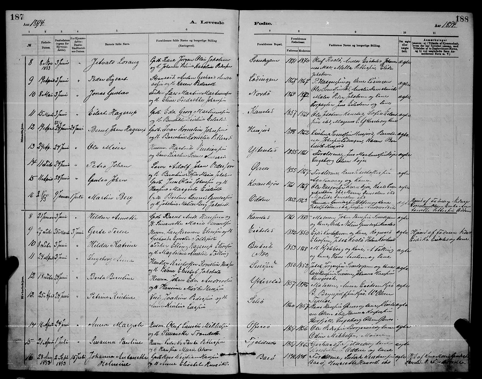 Ministerialprotokoller, klokkerbøker og fødselsregistre - Nordland, AV/SAT-A-1459/872/L1047: Parish register (copy) no. 872C03, 1880-1897, p. 187-188