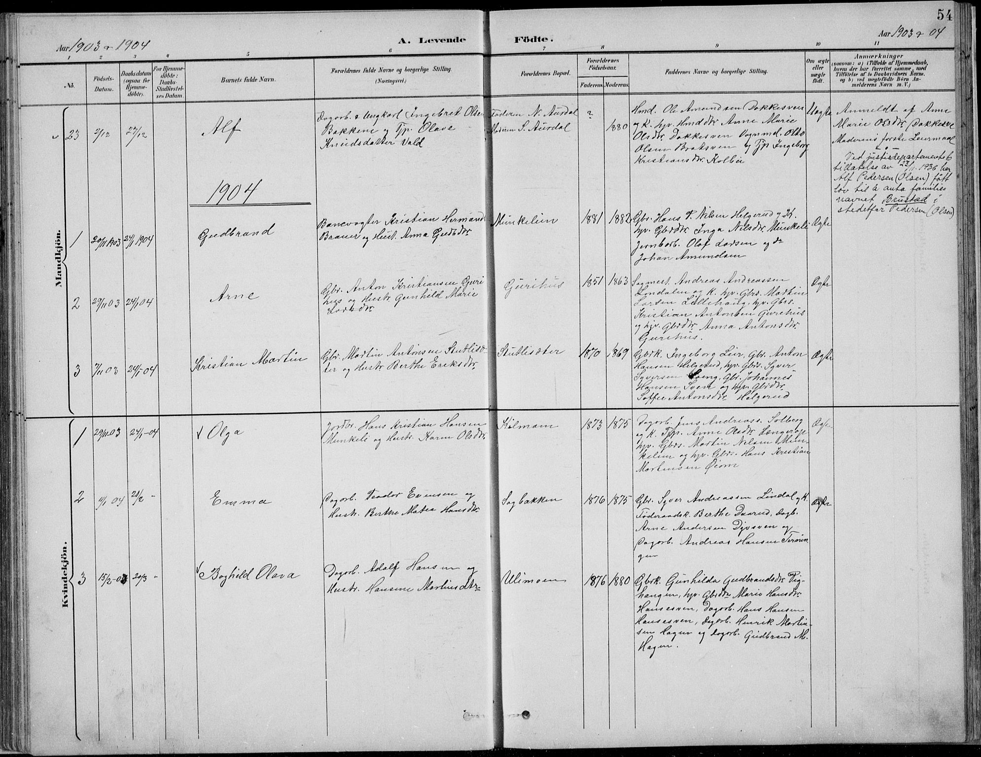 Nordre Land prestekontor, SAH/PREST-124/H/Ha/Hab/L0013: Parish register (copy) no. 13, 1891-1904, p. 54