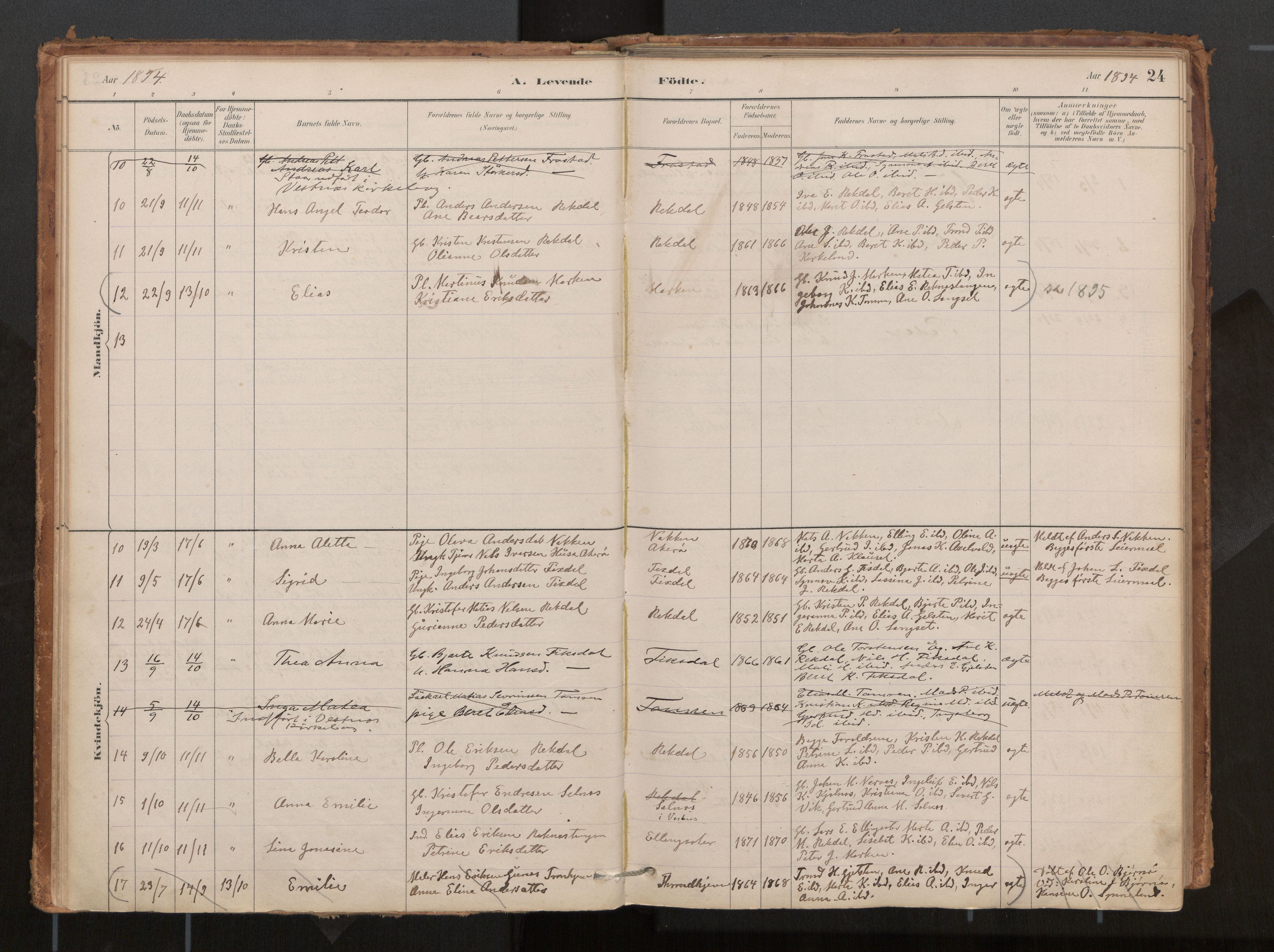 Ministerialprotokoller, klokkerbøker og fødselsregistre - Møre og Romsdal, AV/SAT-A-1454/540/L0540a: Parish register (official) no. 540A02, 1884-1908, p. 24