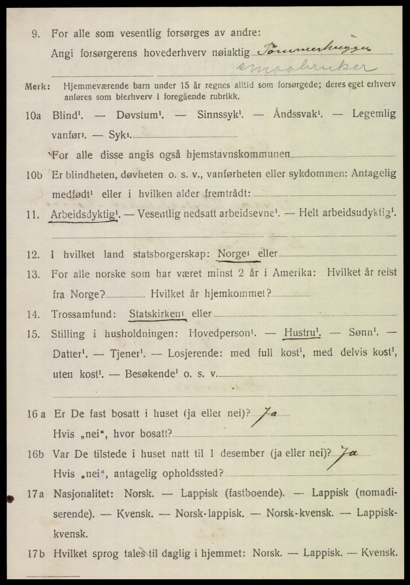 SAT, 1920 census for Sørli, 1920, p. 1056