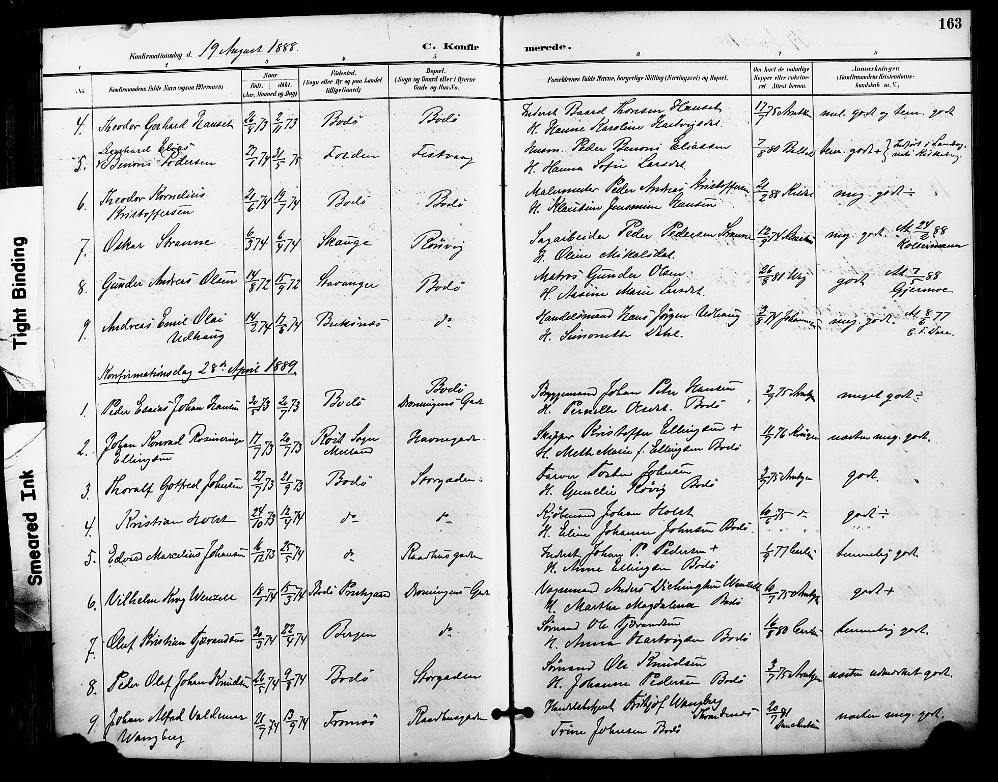 Ministerialprotokoller, klokkerbøker og fødselsregistre - Nordland, AV/SAT-A-1459/801/L0010: Parish register (official) no. 801A10, 1888-1899, p. 163