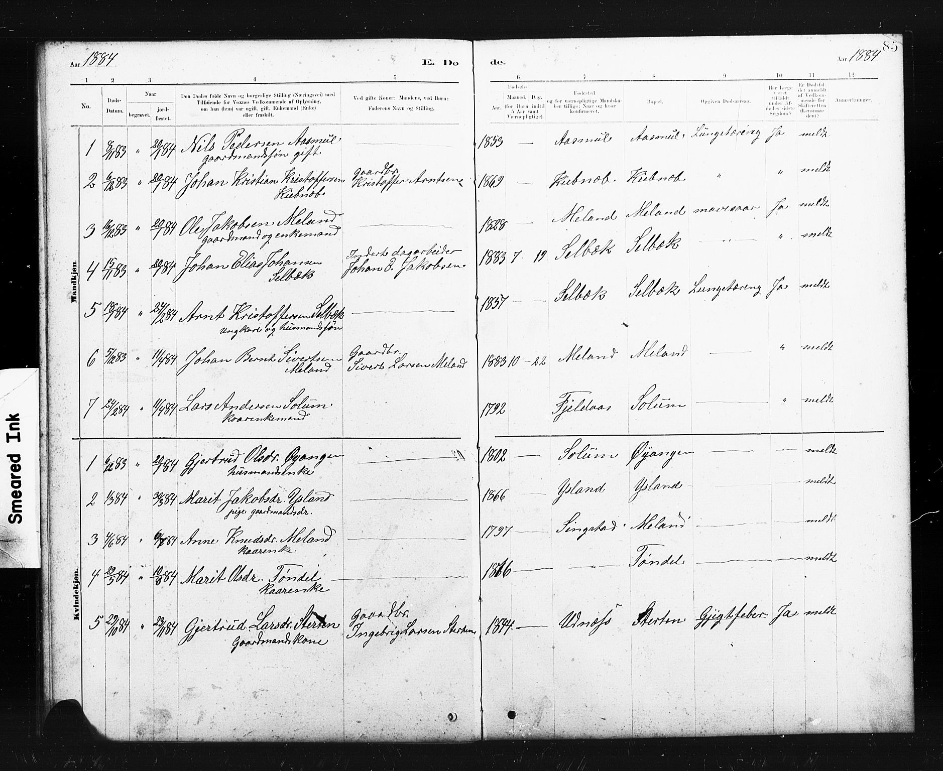 Ministerialprotokoller, klokkerbøker og fødselsregistre - Sør-Trøndelag, SAT/A-1456/663/L0761: Parish register (copy) no. 663C01, 1880-1893, p. 85