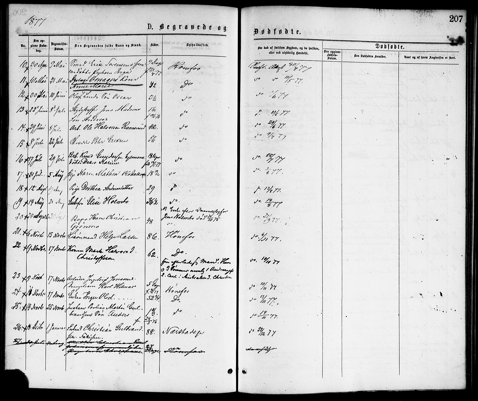 Hønefoss kirkebøker, AV/SAKO-A-609/F/Fa/L0001: Parish register (official) no. 1, 1875-1887, p. 207