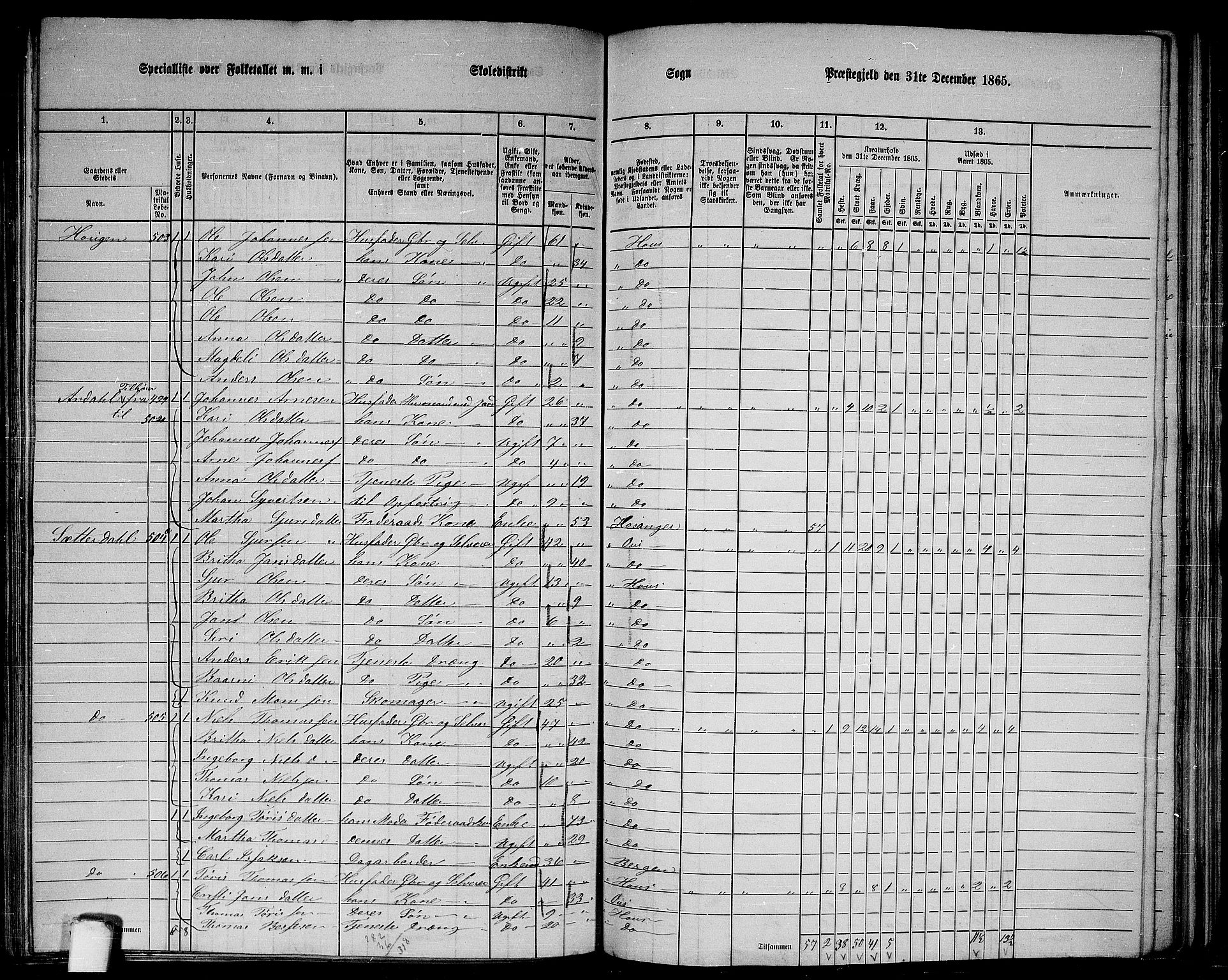 RA, 1865 census for Haus, 1865, p. 199