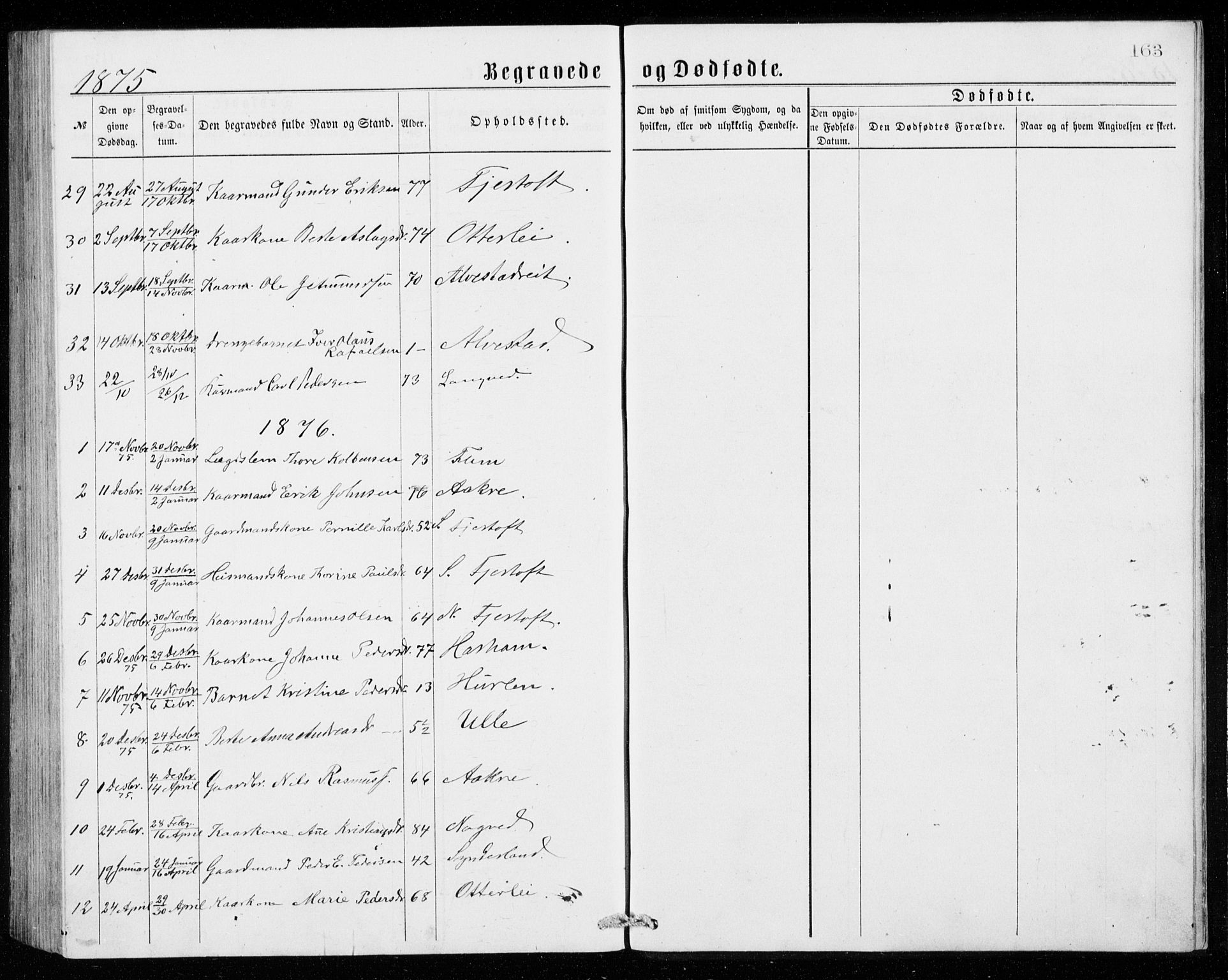 Ministerialprotokoller, klokkerbøker og fødselsregistre - Møre og Romsdal, SAT/A-1454/536/L0509: Parish register (copy) no. 536C04, 1871-1881, p. 163