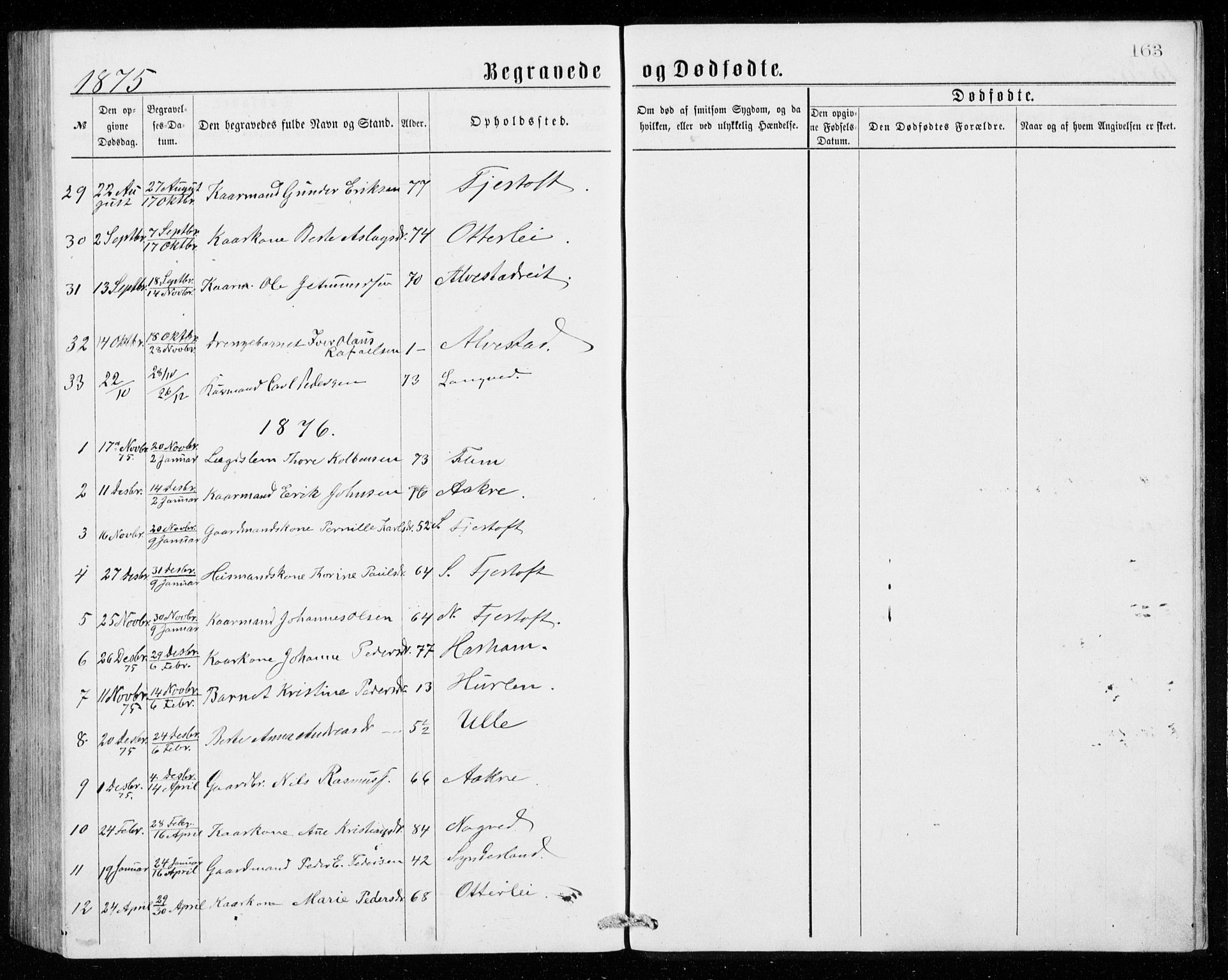 Ministerialprotokoller, klokkerbøker og fødselsregistre - Møre og Romsdal, AV/SAT-A-1454/536/L0509: Parish register (copy) no. 536C04, 1871-1881, p. 163